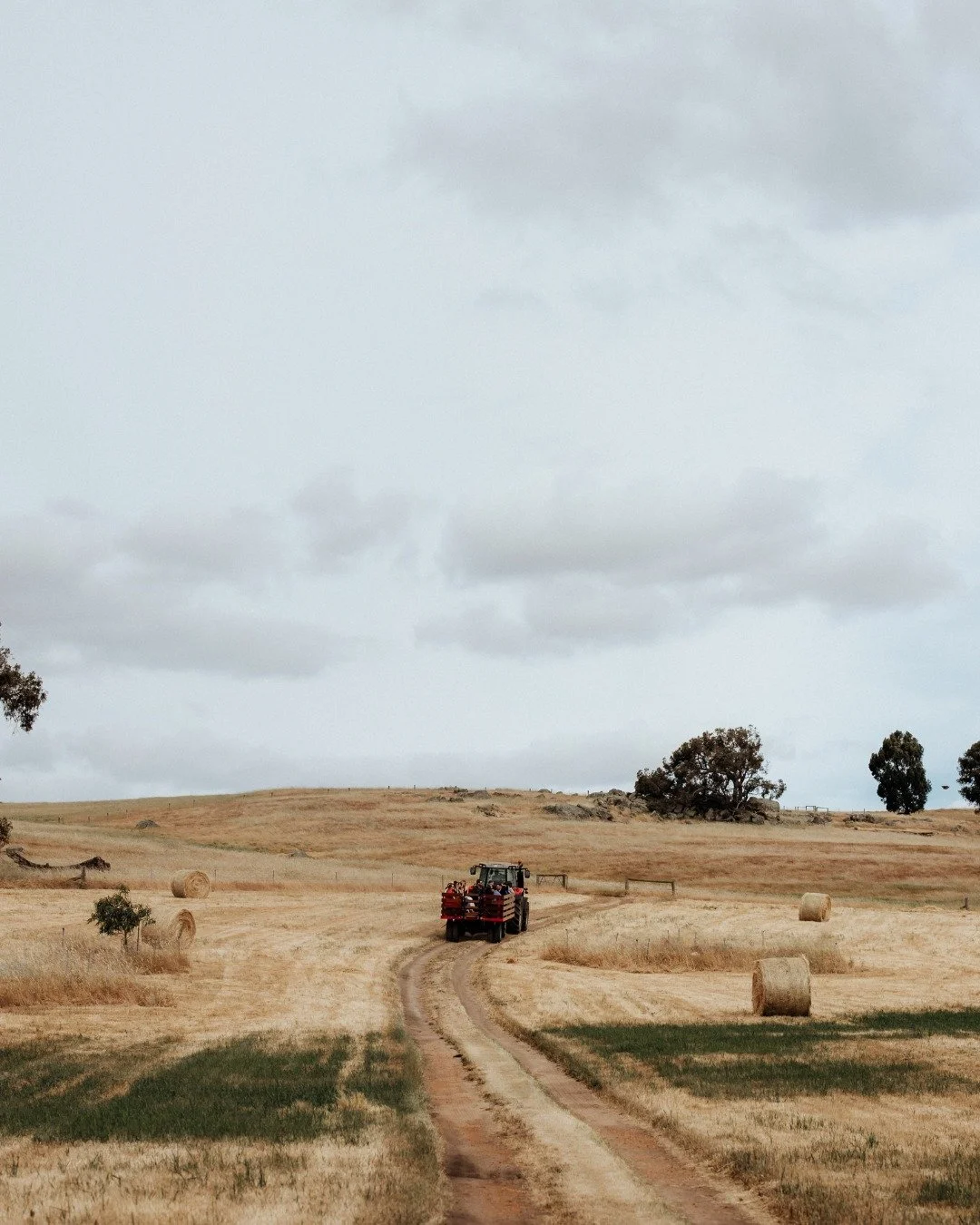 Farm Fact Friday: Dalmore Farm isn&rsquo;t just a beautiful venue, it&rsquo;s a slice of Australian farming history. Established by the Scott family around 1890, it's one of the oldest continually working farms in the Blackwood River Valley. Its orig