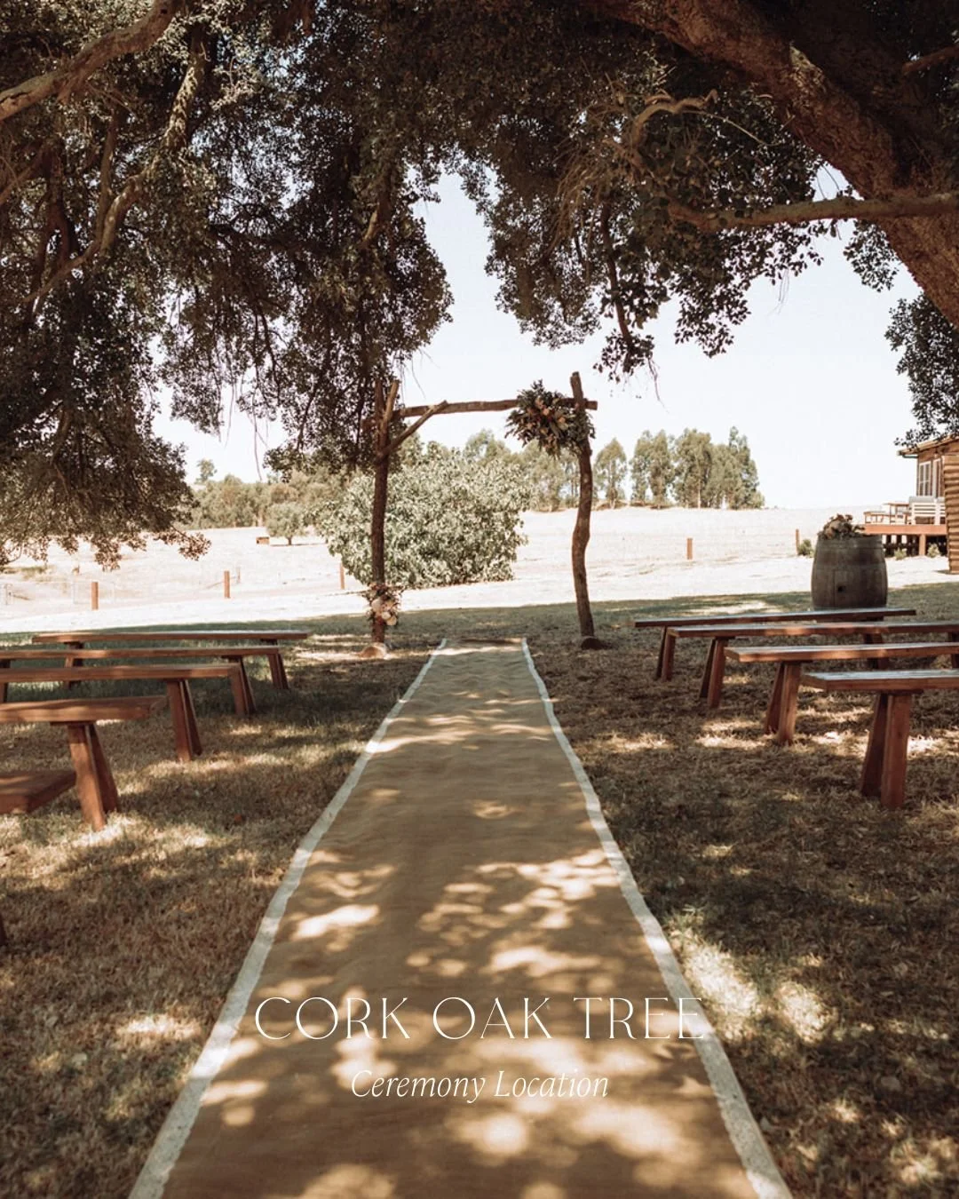 Say &ldquo;I do&rdquo; beneath the flowery canopy of our Cork Oak Tree.  Create your dream aisle with chairs, dress the arbour in your own style, and enjoy a ceremony spot just steps away from The Shed. It&rsquo;s the perfect setting if you want your