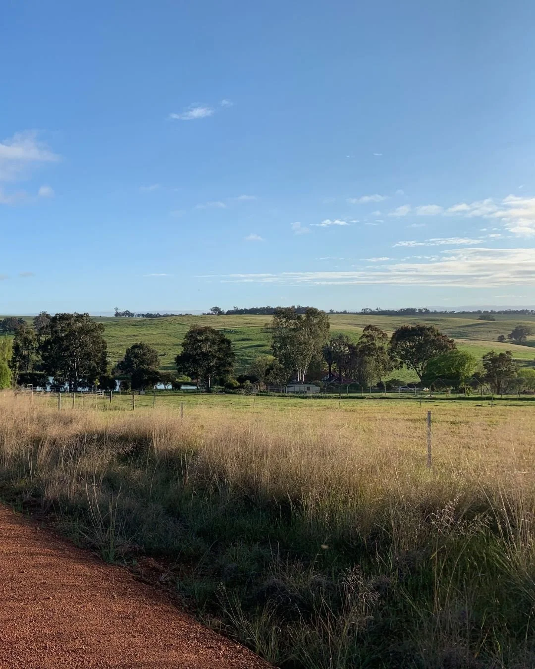 Farm Fact Friday: Dalmore Farm spans 250 acres across the countryside! The rolling hills, creek lines and orchards give you the kind of peace you've been dreaming of.

Book a Farm Stay with us and explore the beautiful open spaces for yourself.

#dal