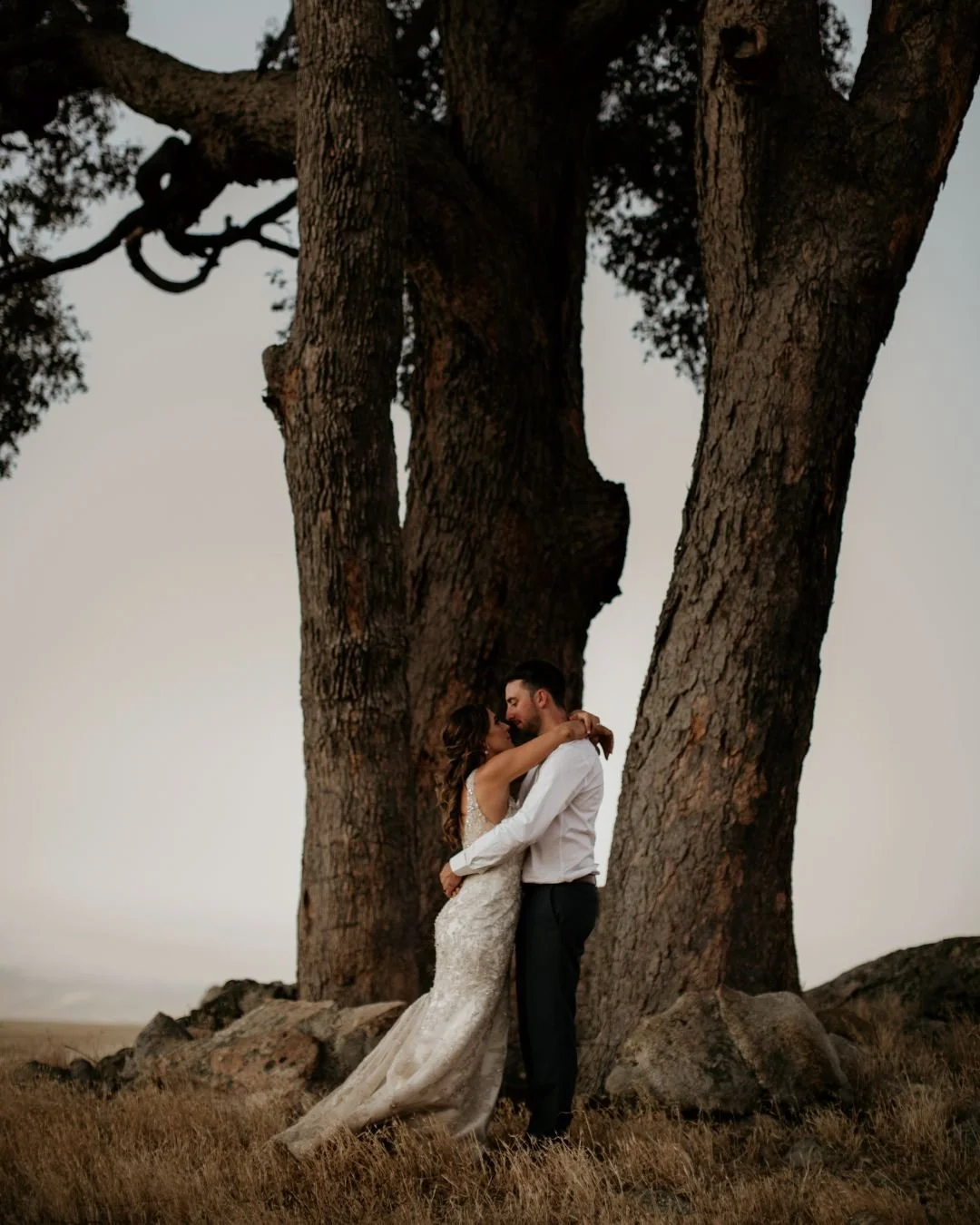 Golden light, long shadows, sun-kissed moments. Summer weddings at Dalmore Farm are filled with the kind of magic you can only dream of.

Tylyn + Steven, Fiona + Paul, and Kate + Jacob remind us why this season is worth celebrating.

Thinking of a su