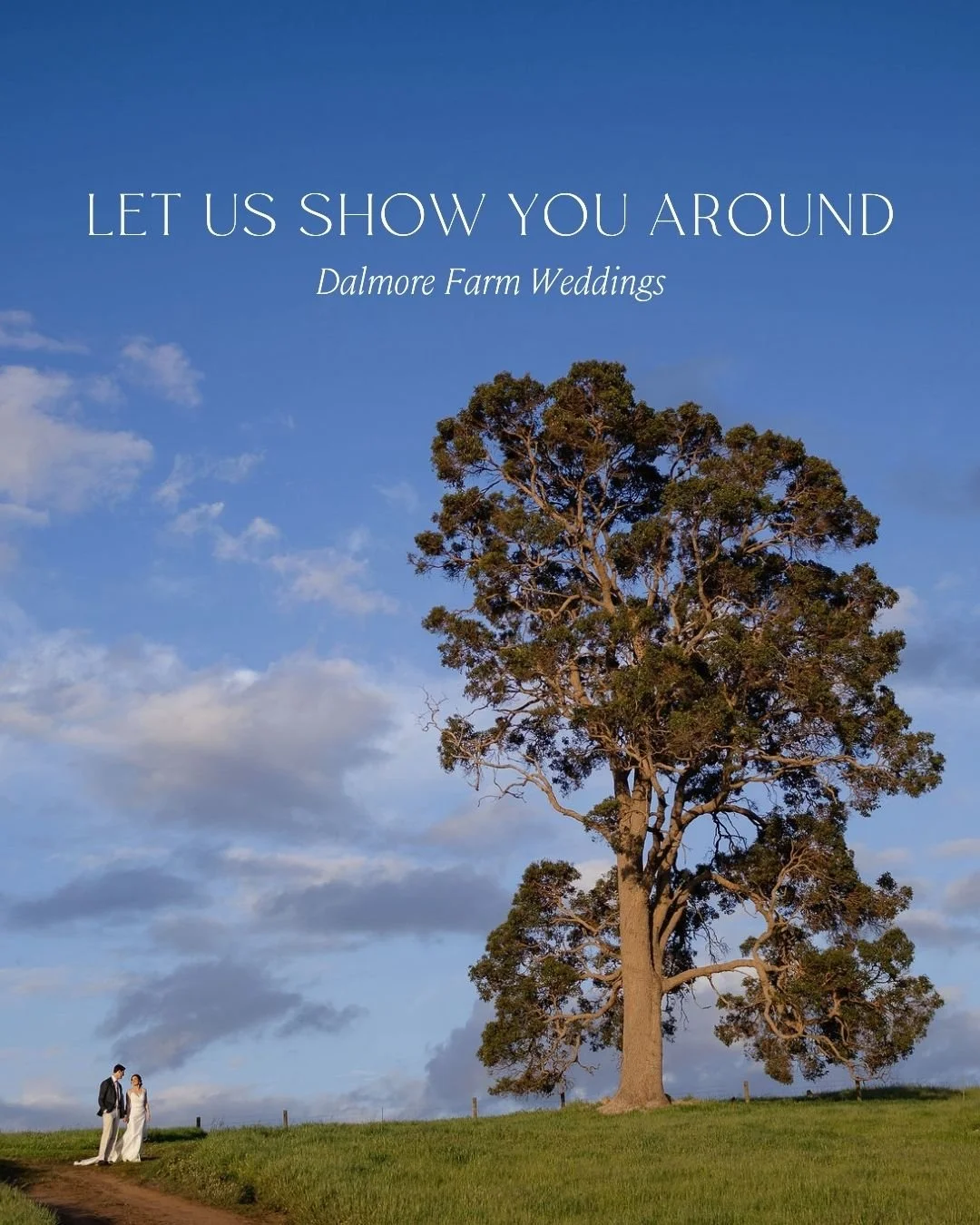 Every corner of Dalmore tells its own story and we would be honoured to show you around ✨ 

The beautiful ceremony locations, the tranquil portrait spots, and The Shed where the celebrations echo into the night.

If you&rsquo;re imagining your own da