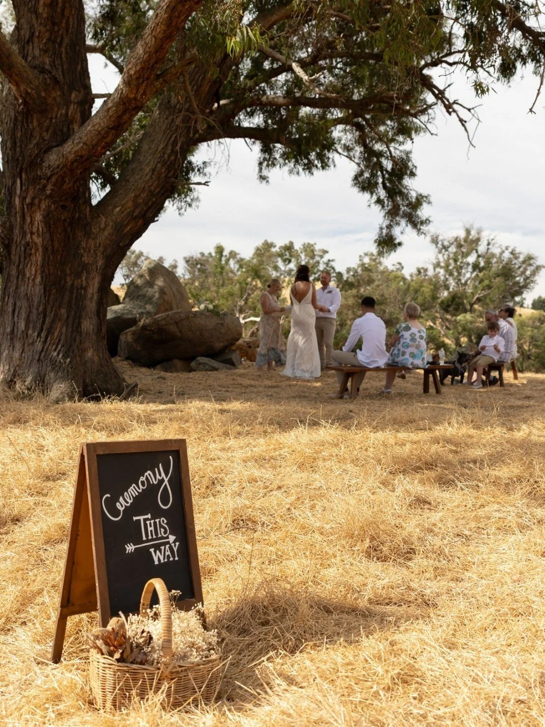 Summer at Dalmore has a feeling all its own. Golden fields, warm light stretching into the evening, and the kind of natural beauty that doesn&rsquo;t need much to feel complete. It&rsquo;s a season that invites you to lean into soft, sun-warmed tones