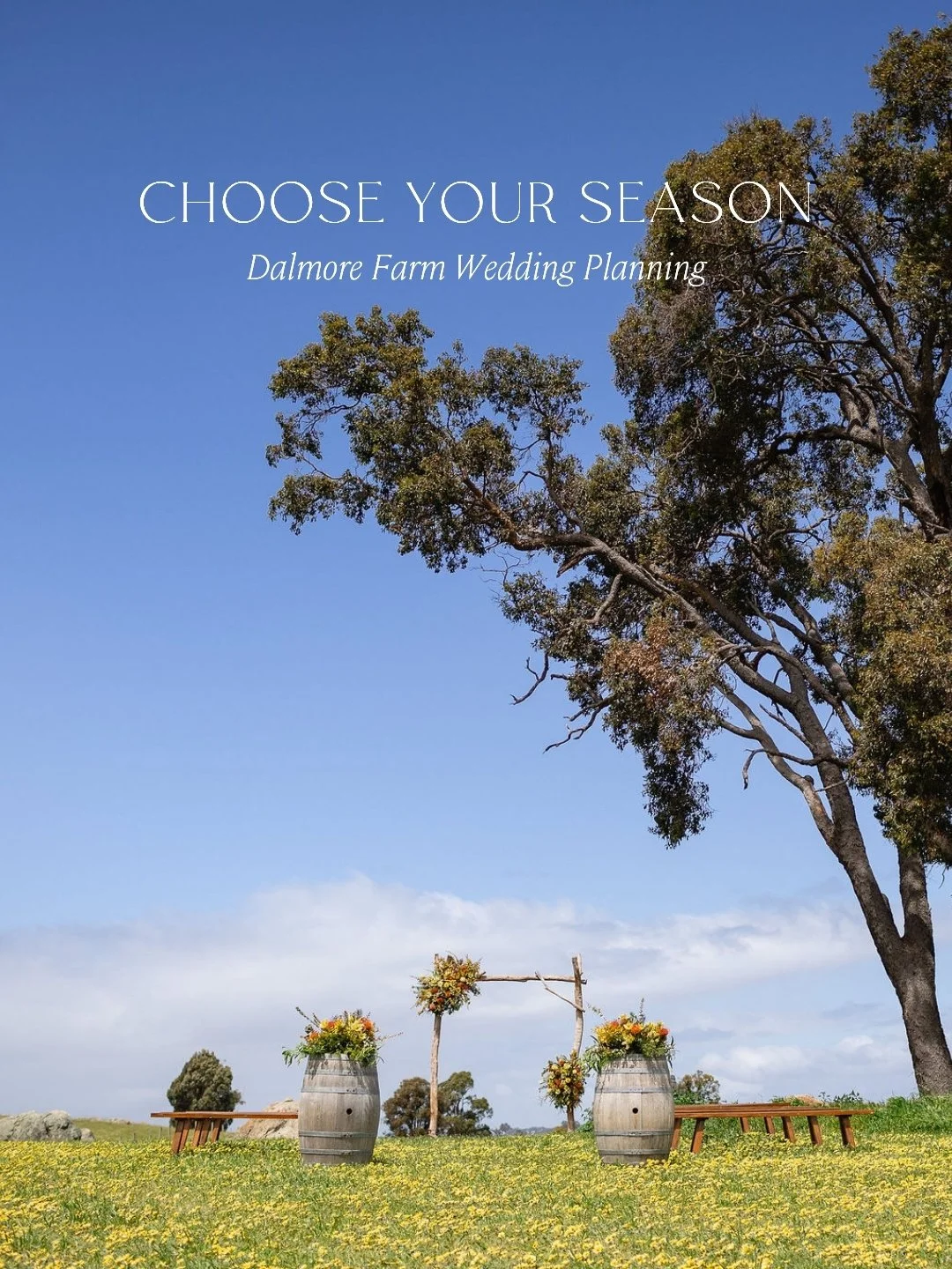 If wedding planning is starting to feel overwhelming, begin with something simple: the season you want your wedding to feel like!

Every season at Dalmore brings something completely different; fresh spring growth, golden summer hills, rich autumn to