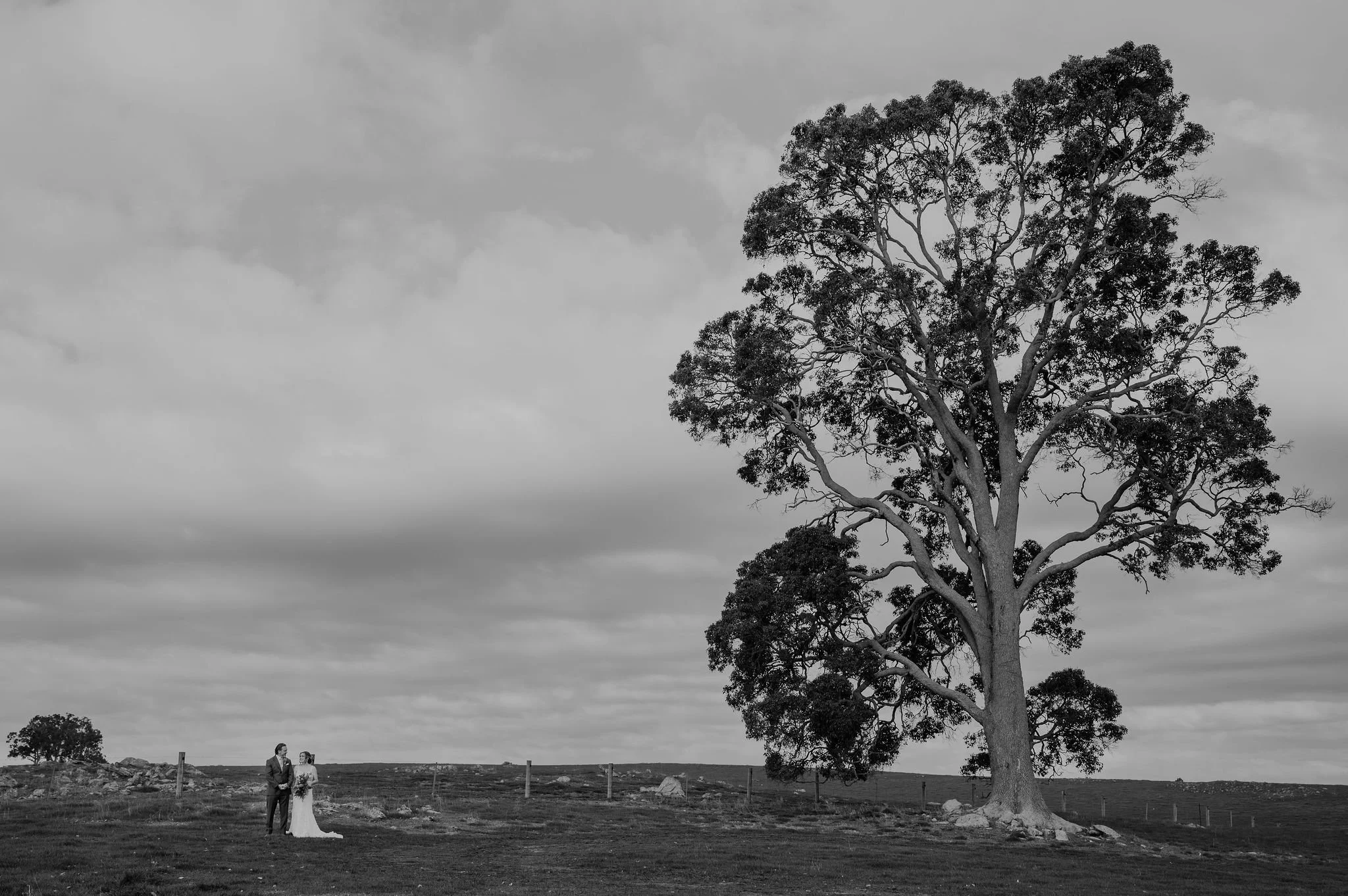 Dalmore Farm_Western Australia Wedding Venue_Farm Weddings
