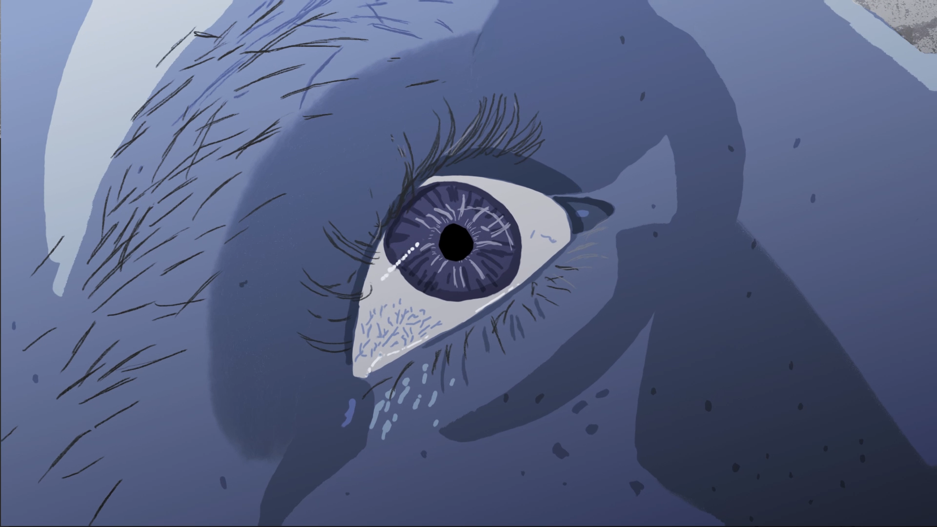 Sequence SLOWEYE1.png