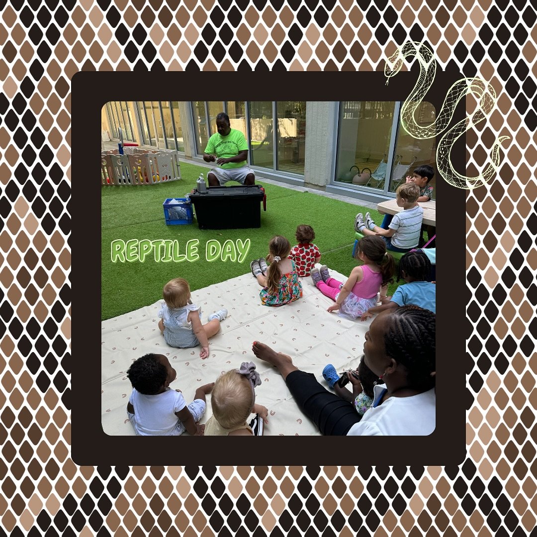 Our kiddos are currently in their reptile unit. Storybook Cottage invited Fangs, Frogs, and More for a reptile show. The kiddos got to interact with different reptiles they have spent the past few weeks learning about! 🦎✨🕷️