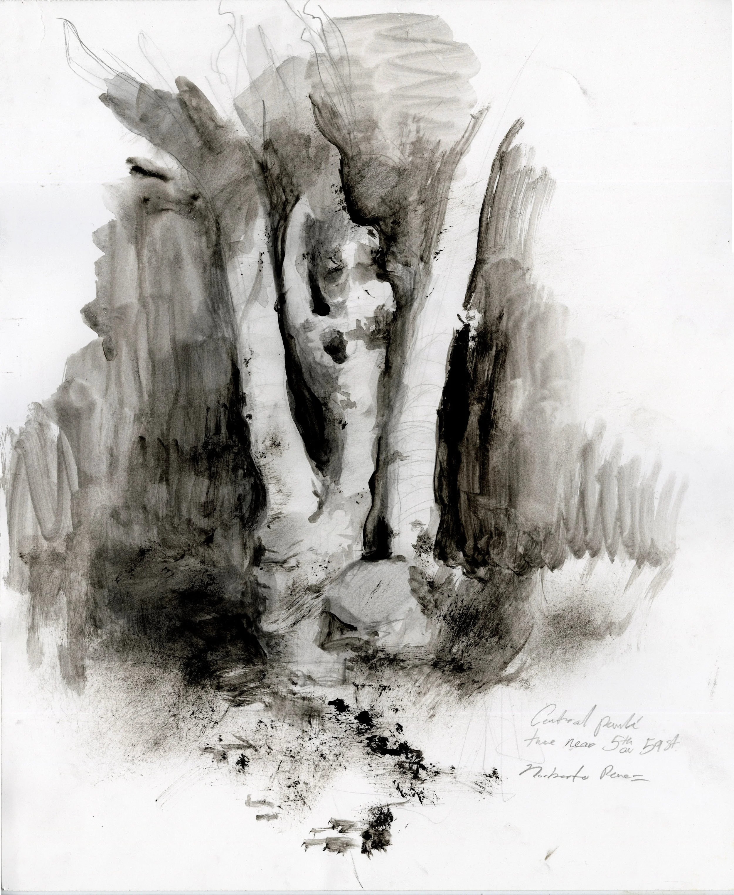 Tree charcoal.jpg