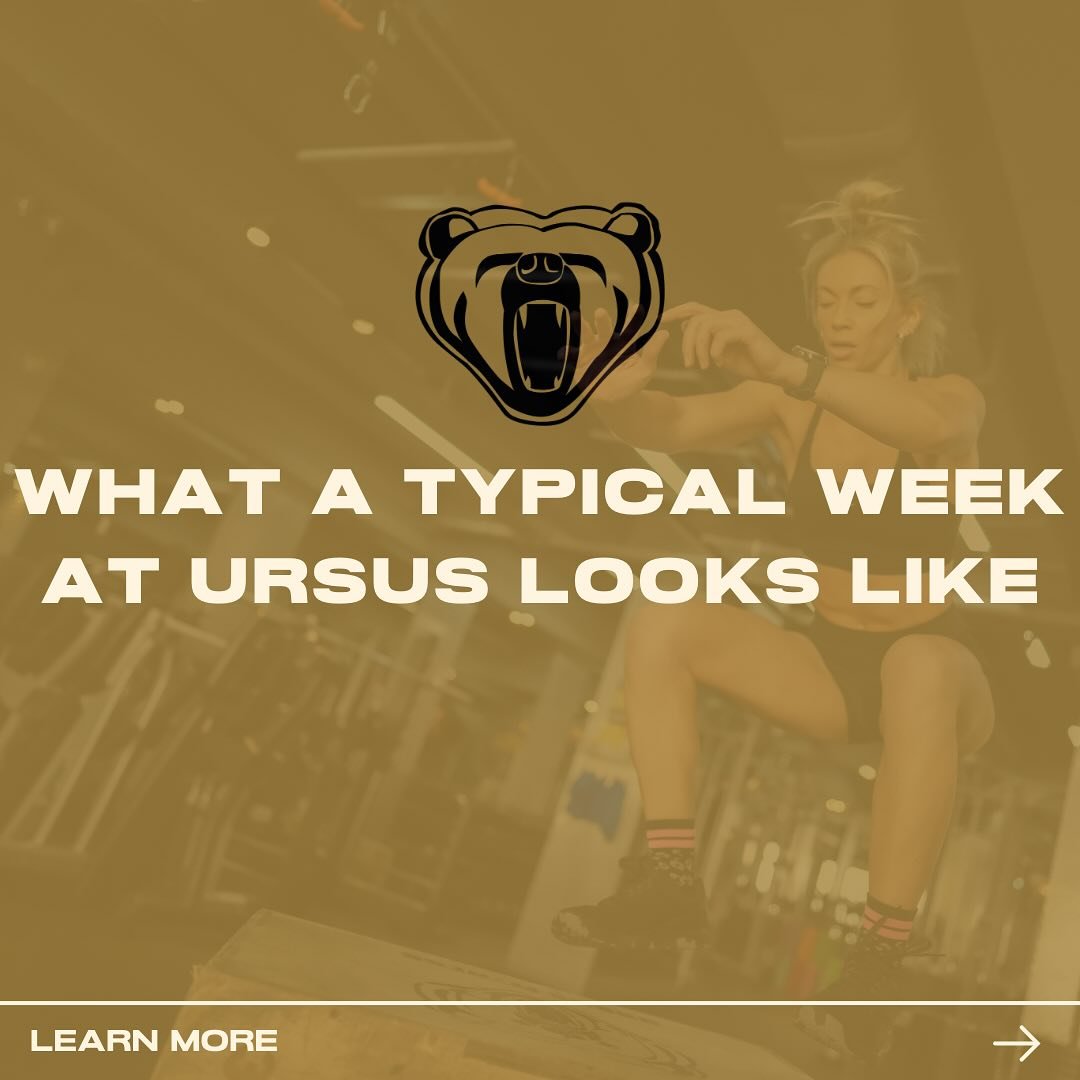 🗓️What a typical week at URSUS looks like🗓️

At URSUS we offer two core classes; Strong &amp; Lean (resistance/weight training) and Bear Camp (functional fitness). 

These classes are periodised and programmed to encompass all elements of Strength 