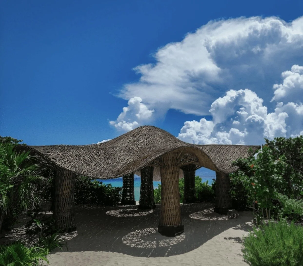 Image 6-25-25 at 4.31 PM.jpeg