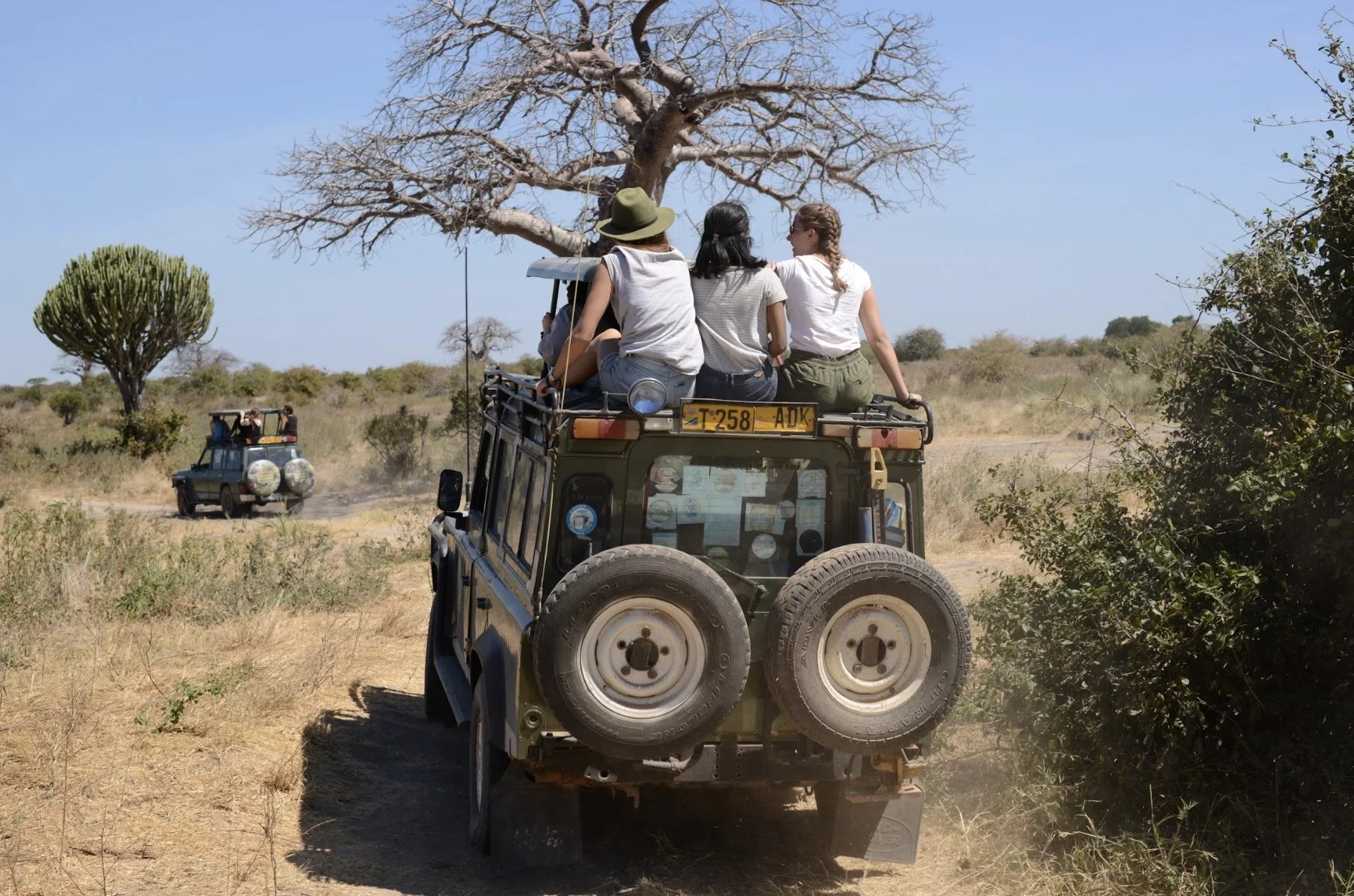 Image 6-25-25 at 2.48 PM.jpeg