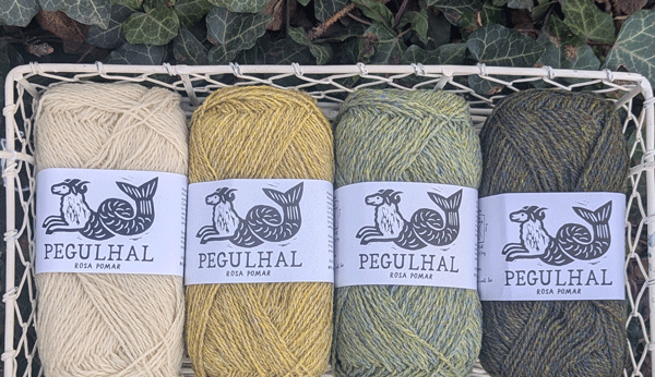 Finally! Our Rosa Pomar is Here!