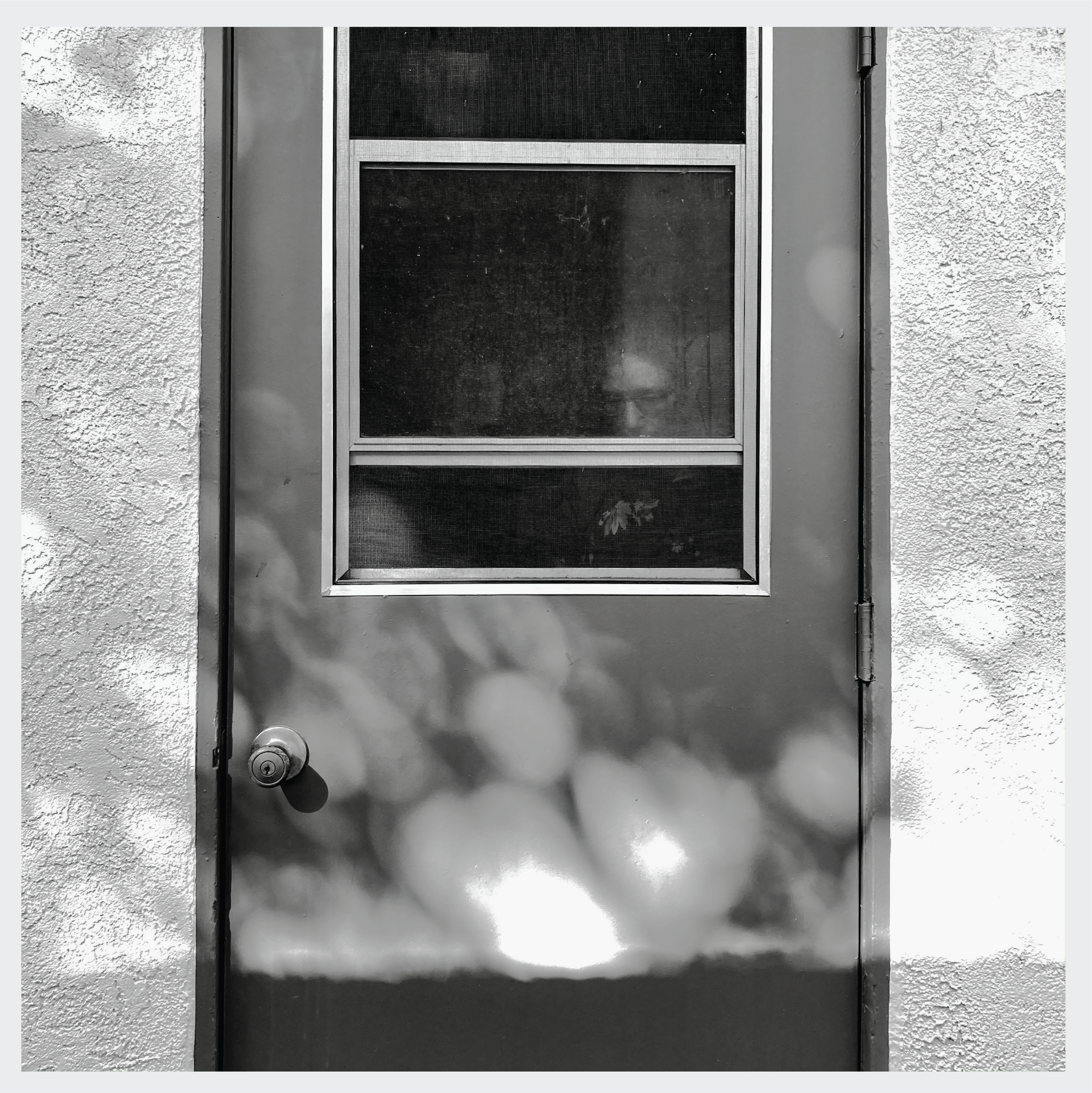 Under Great Oaks-47.png