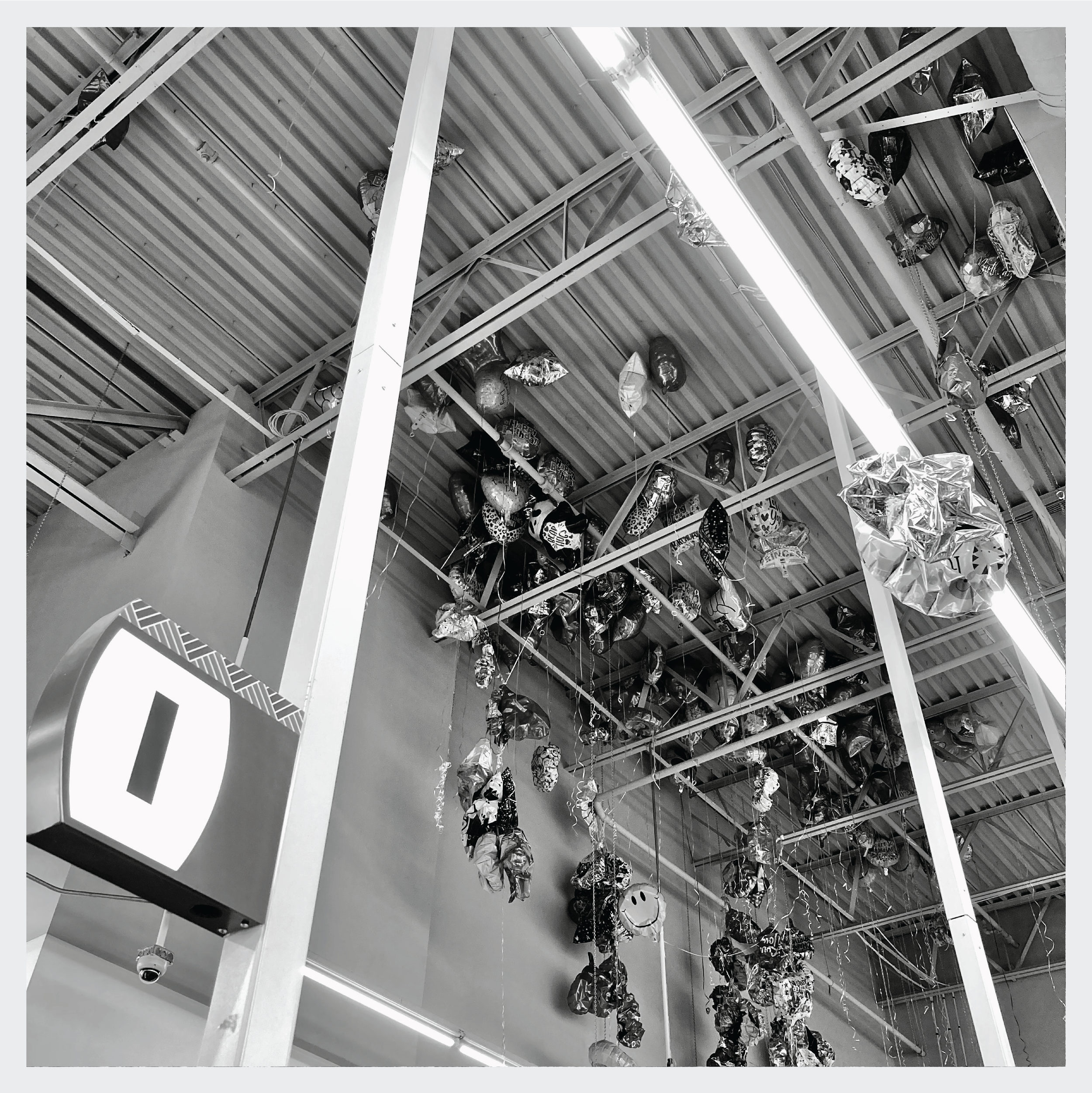 Under Great Oaks-42.png