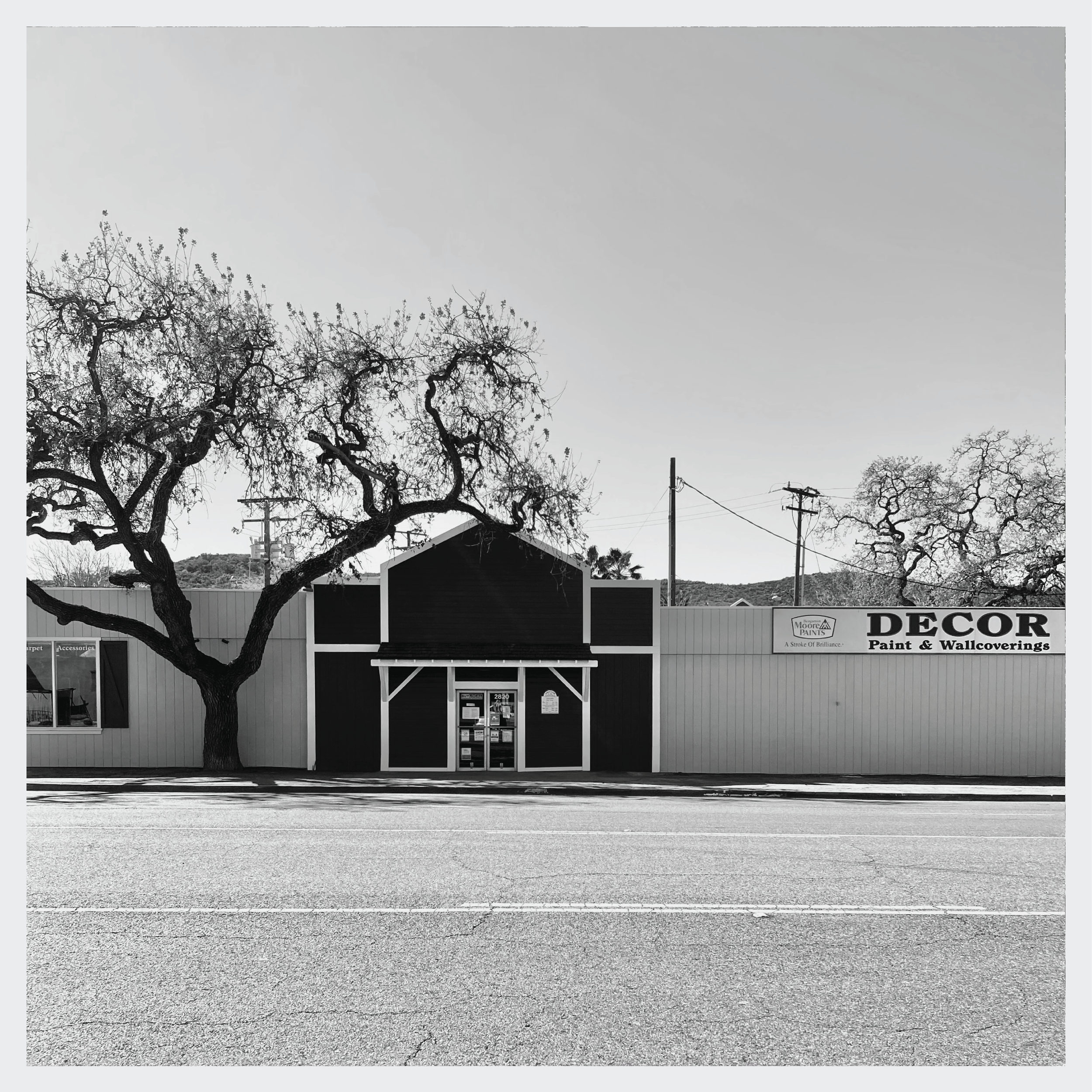 Under Great Oaks-40.png