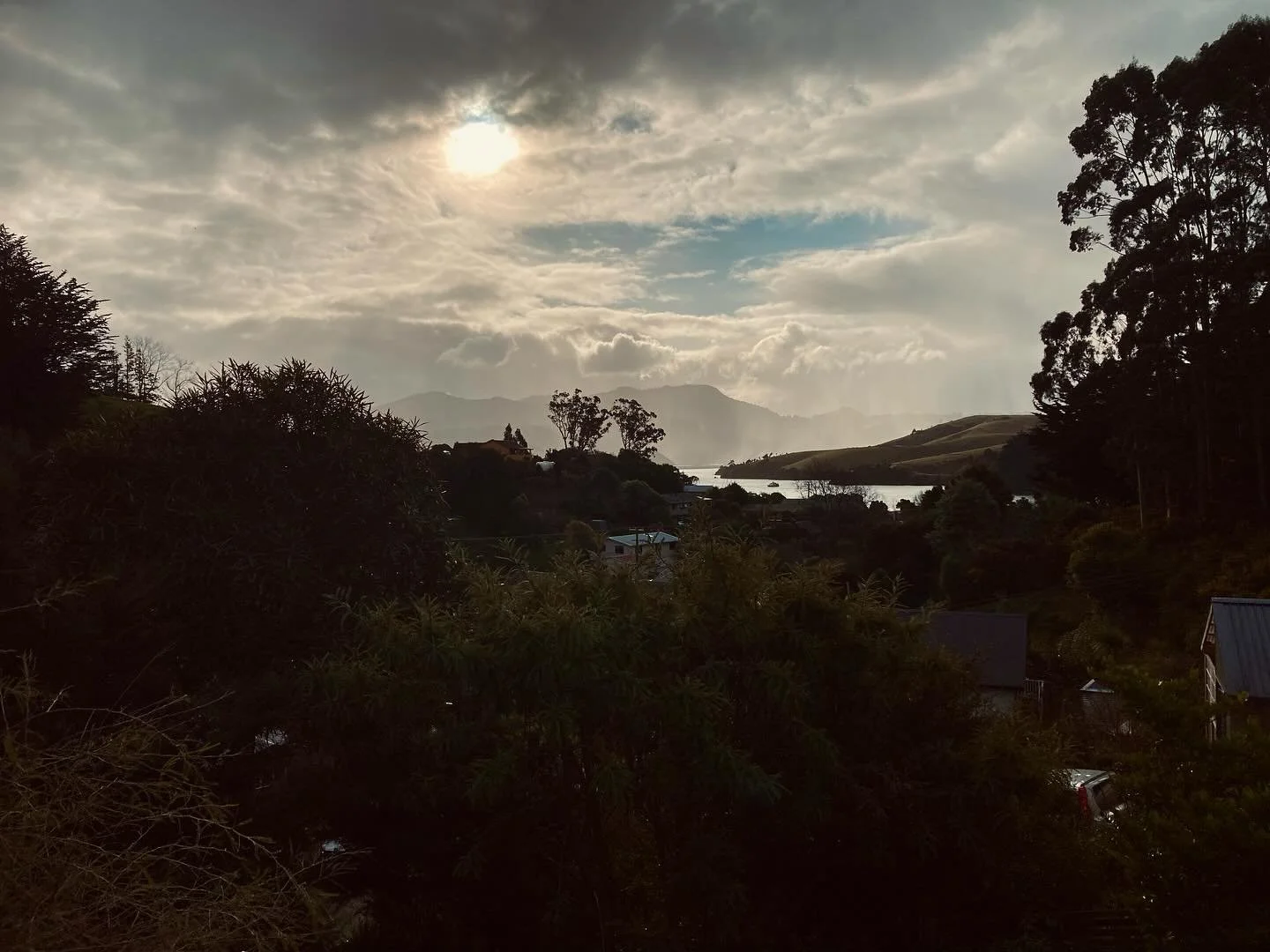 The perfect writing &amp; reading weather once again. ❄️👌📚

#hākiroto #hākiwaho #weekend #dunedincityofliterature