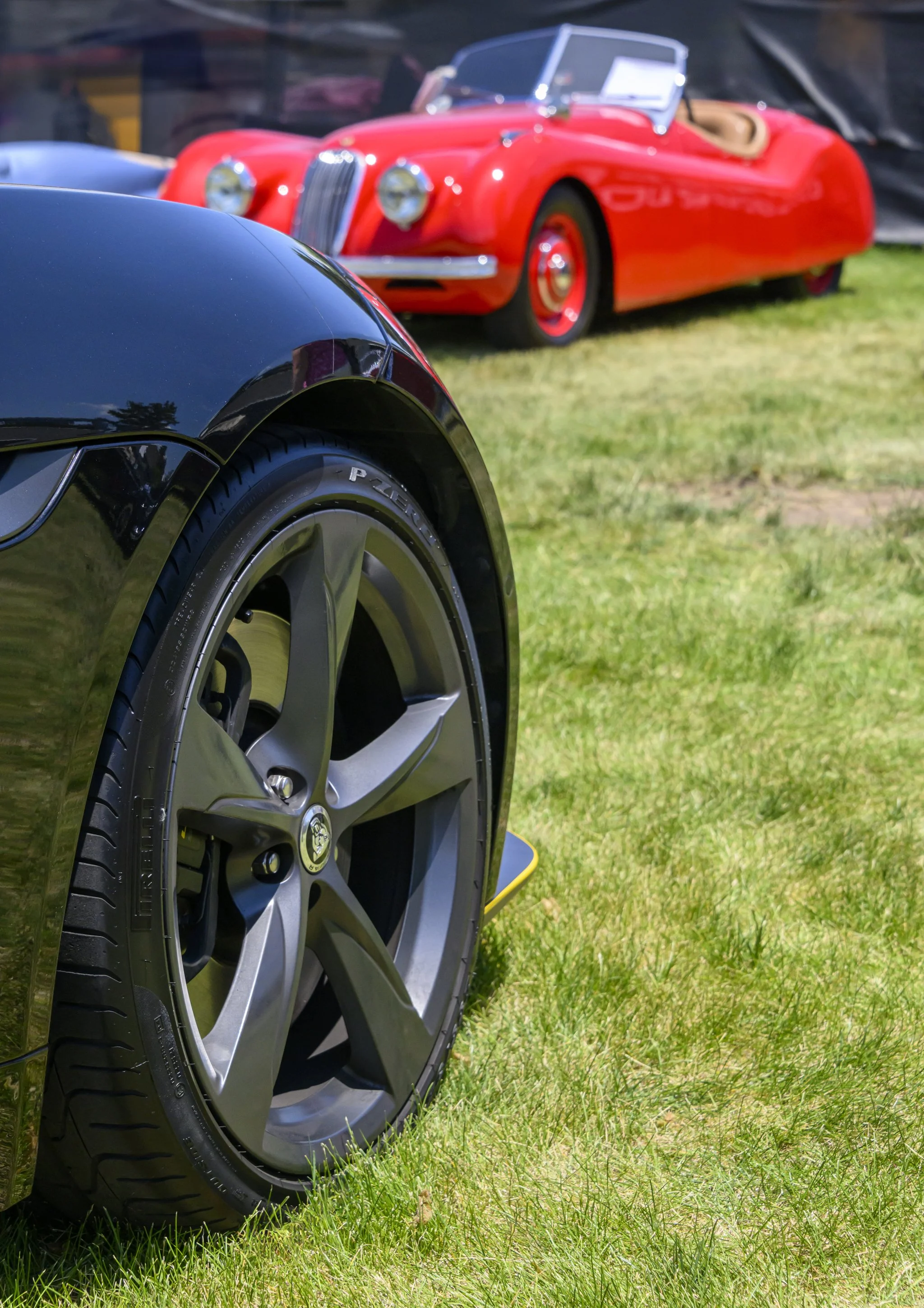 colorado_concours_june2024-77.jpg