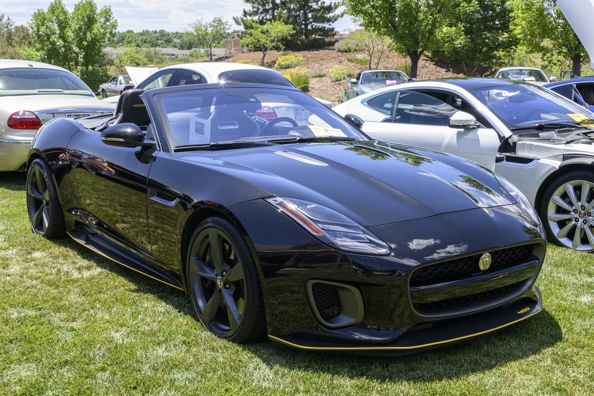 jag-car-show-cc1-6258.jpg