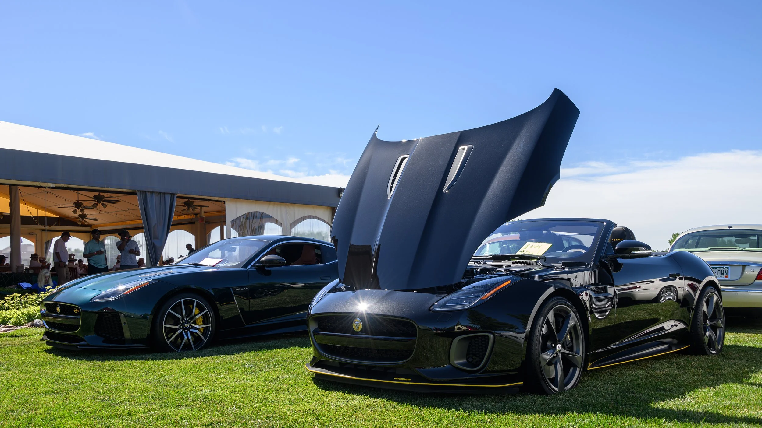 jag-car-show-cc-6242.jpg
