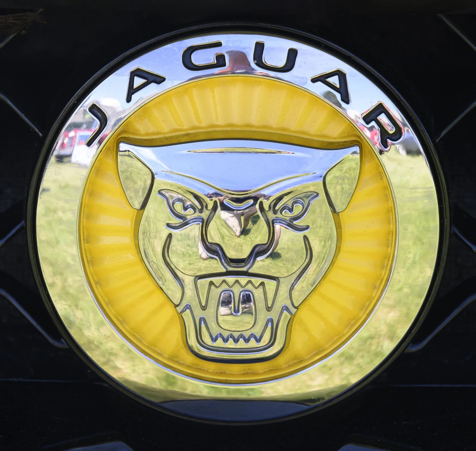 colorado_concours_june2024-111.jpg