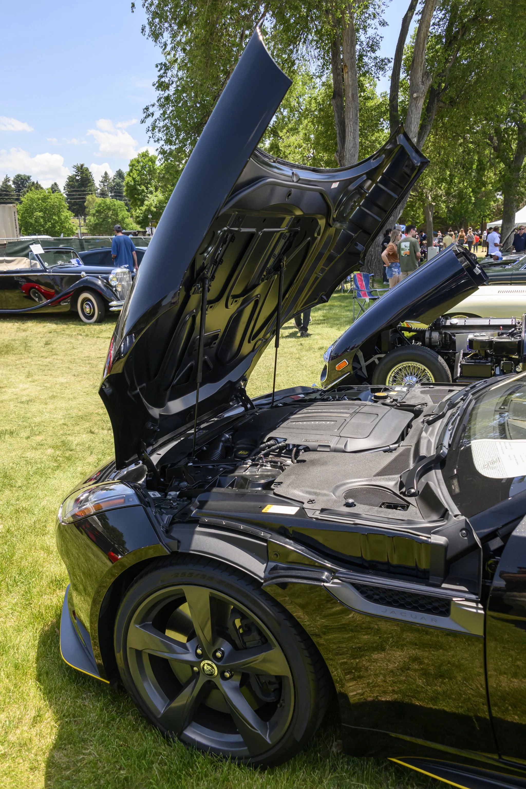 colorado_concours_june2024-89.jpg