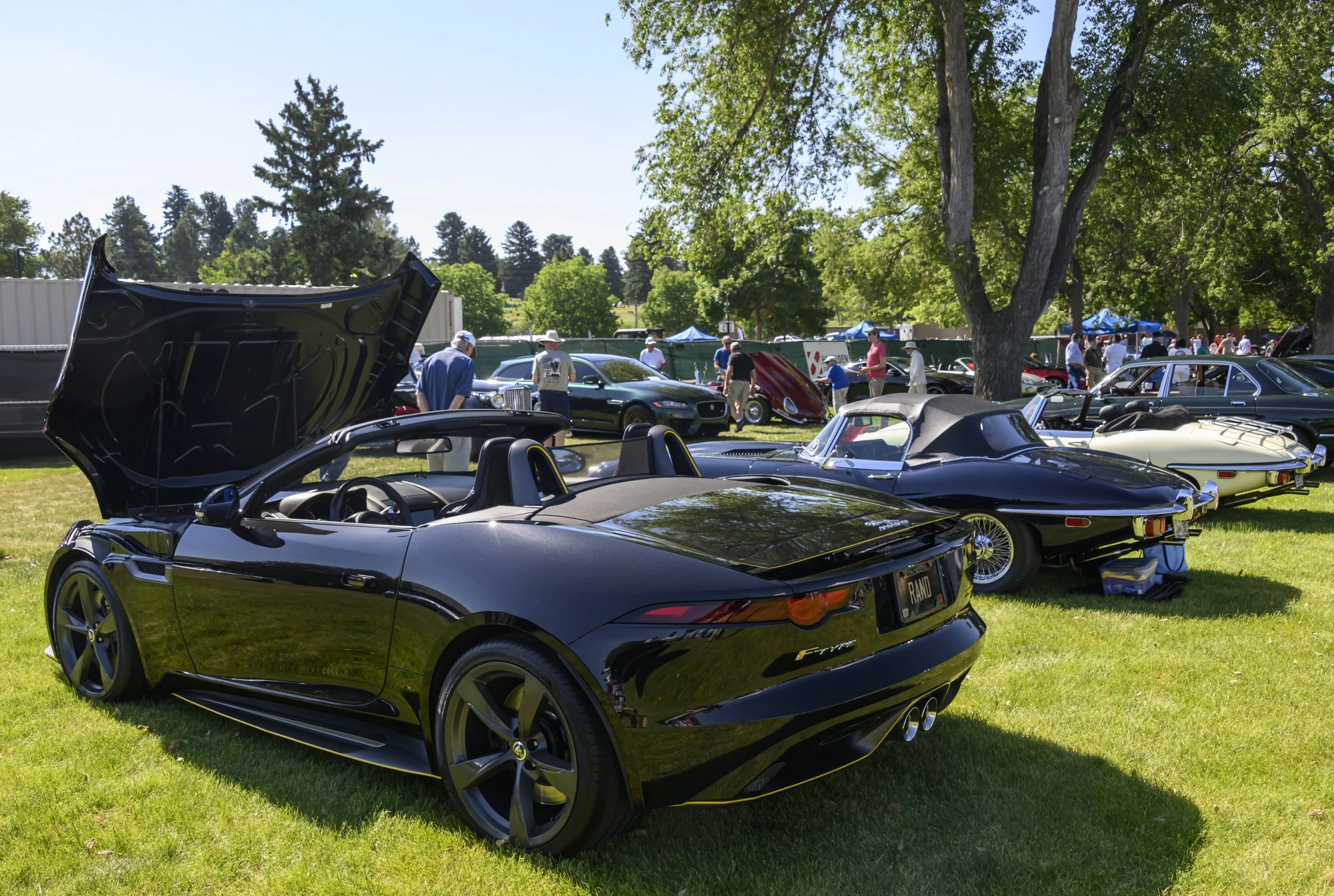 colorado_concours_june2024-24.jpg
