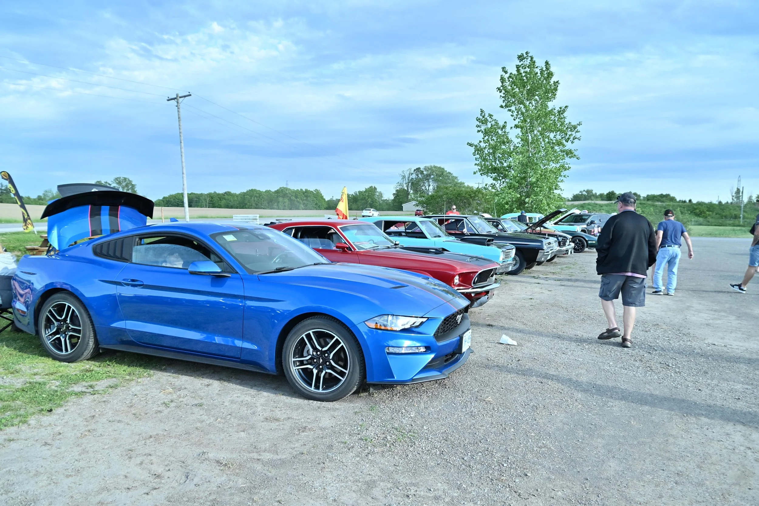 DSC_5099.jpg