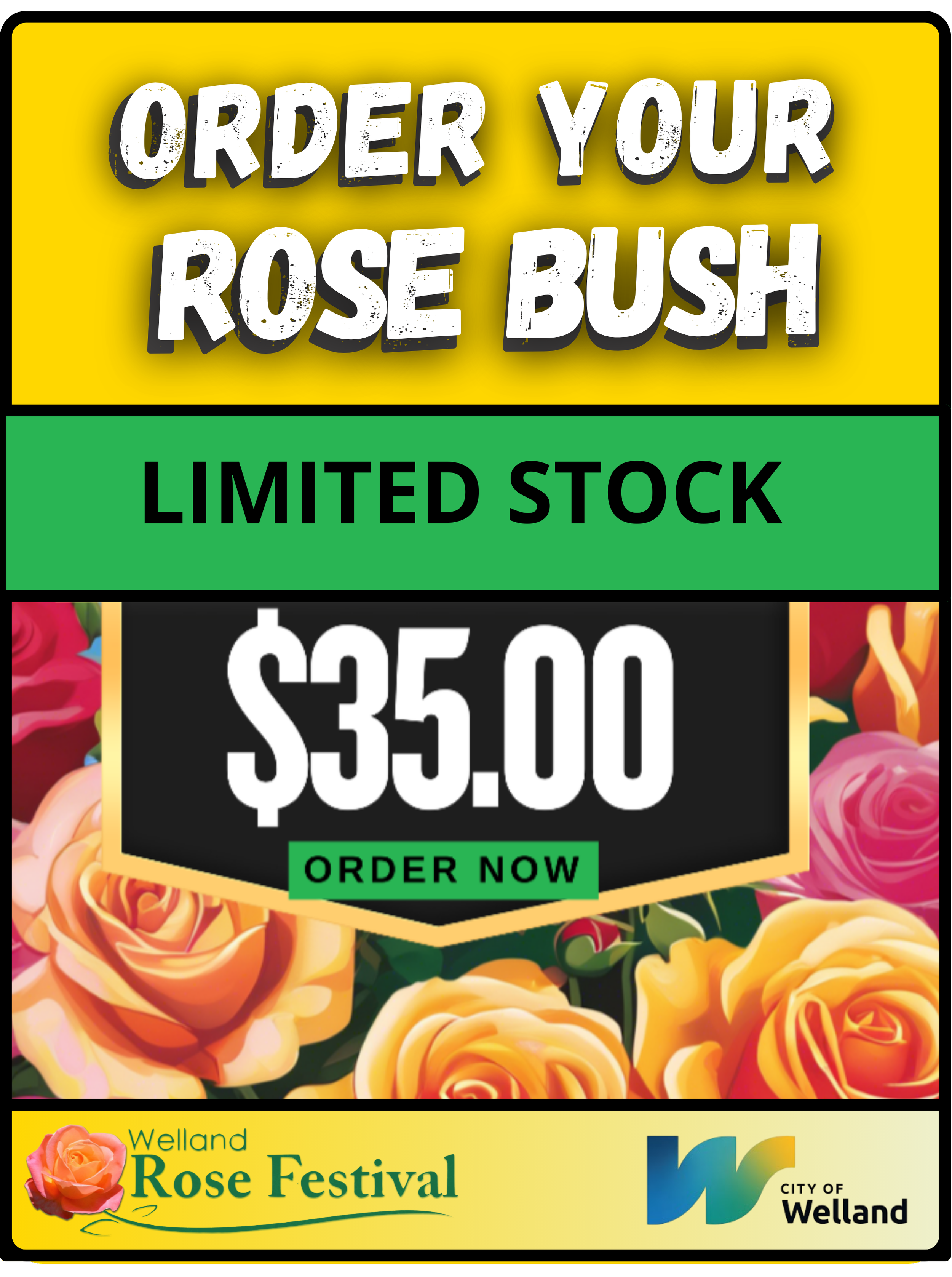 A colorful advertisement for a rose festival featuring roses in the background, with text promoting the purchase of rose bushes at $35 each, limited stock available, and organized by the City of Welland.