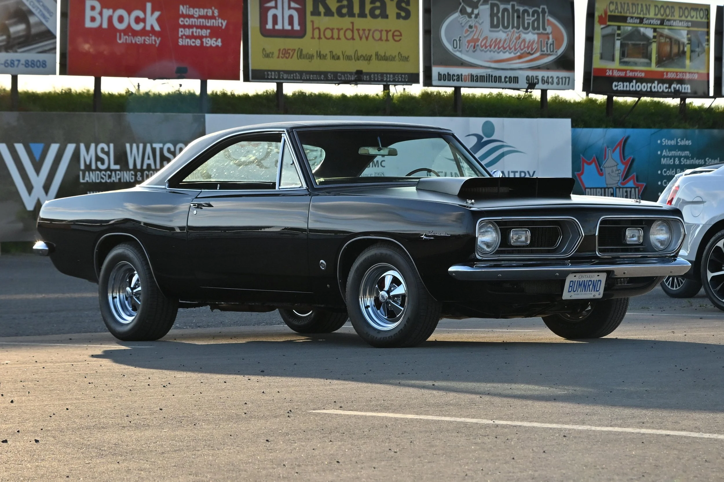 DSC_5198.jpg