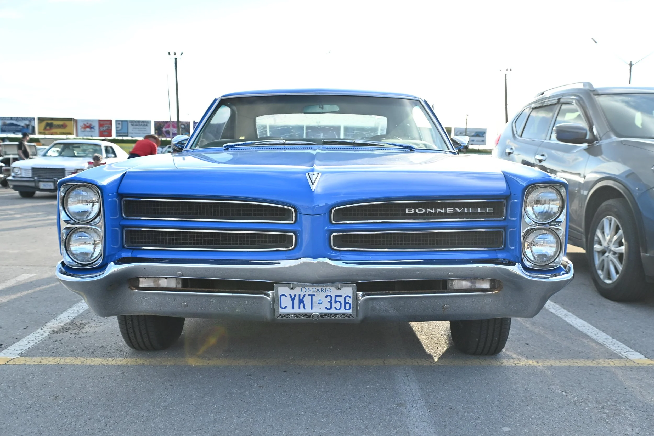 DSC_5135.jpg