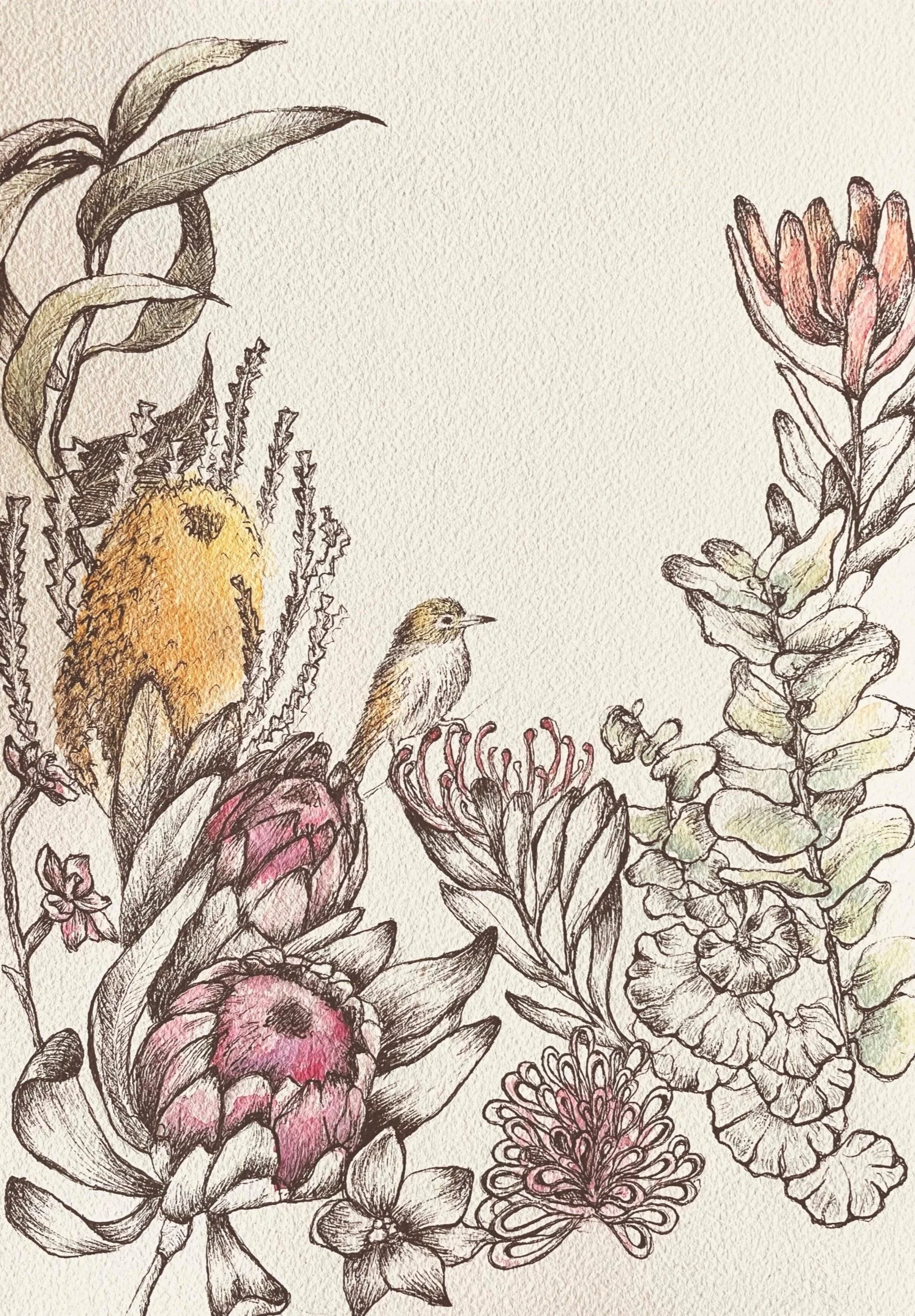 Front Cover.jpg