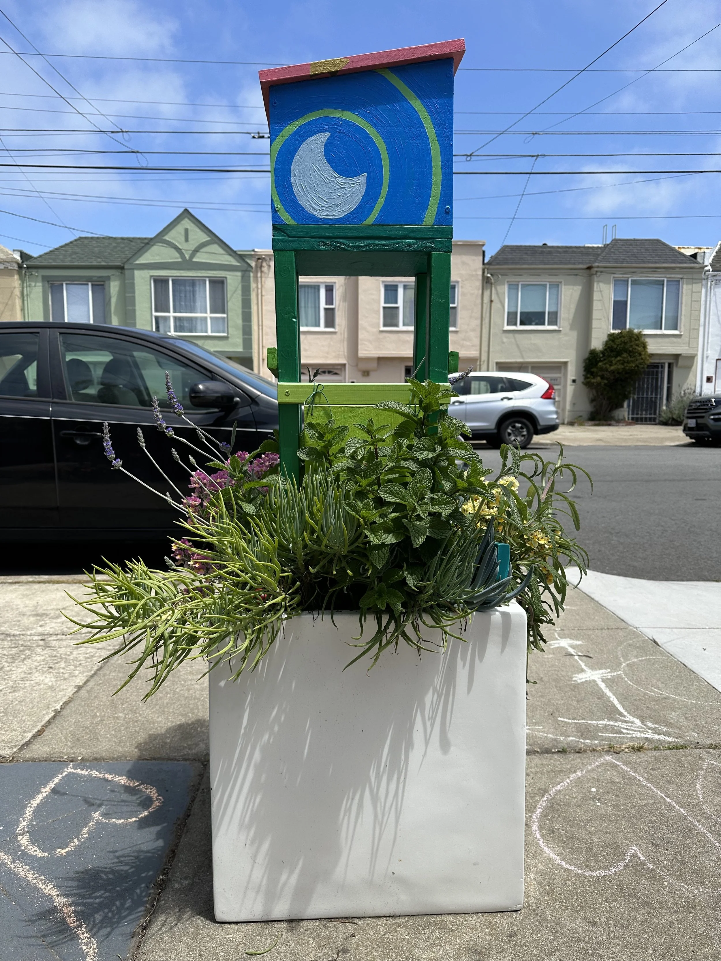 the plants are growing in so so so well.