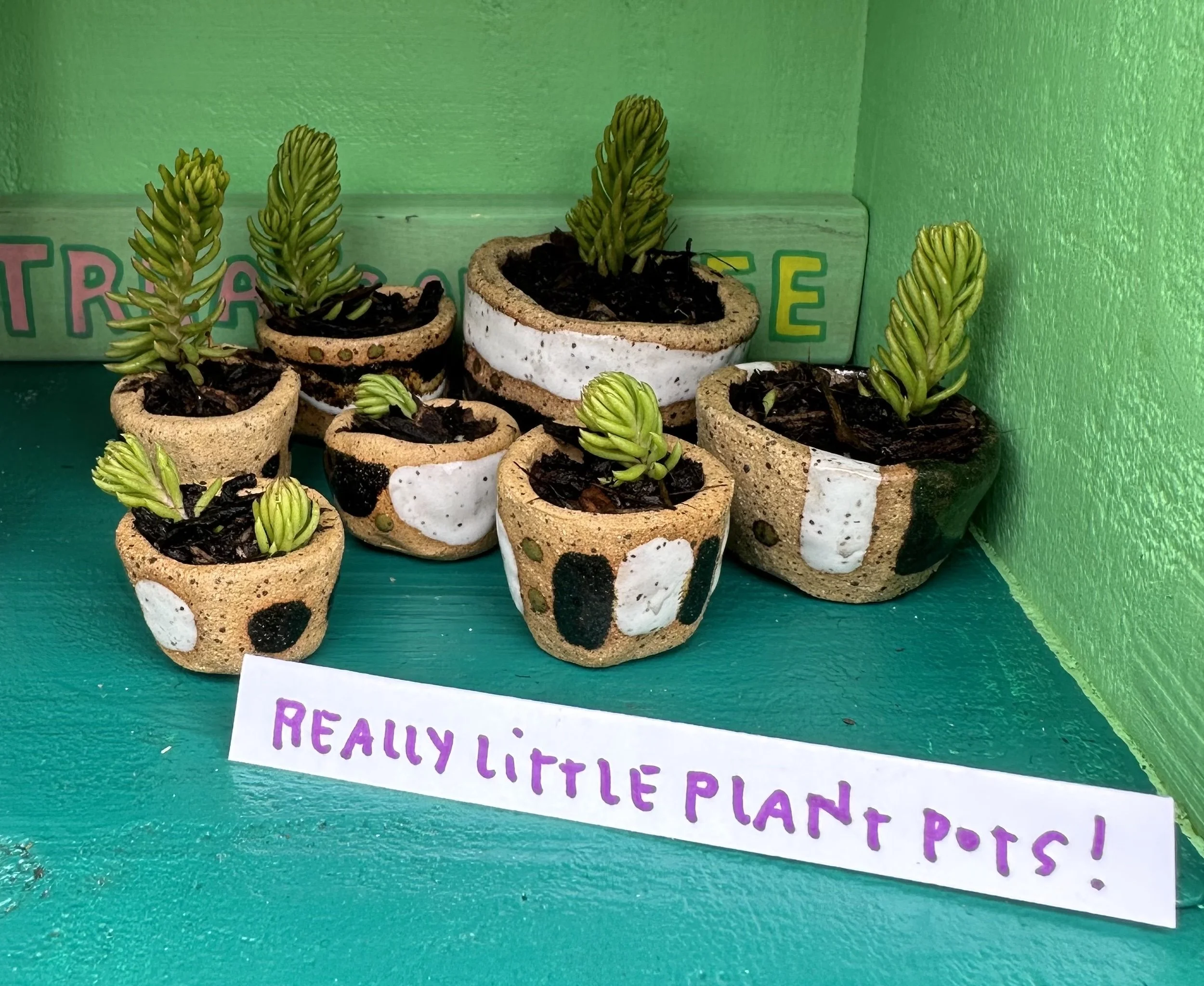 they really are really little 💚