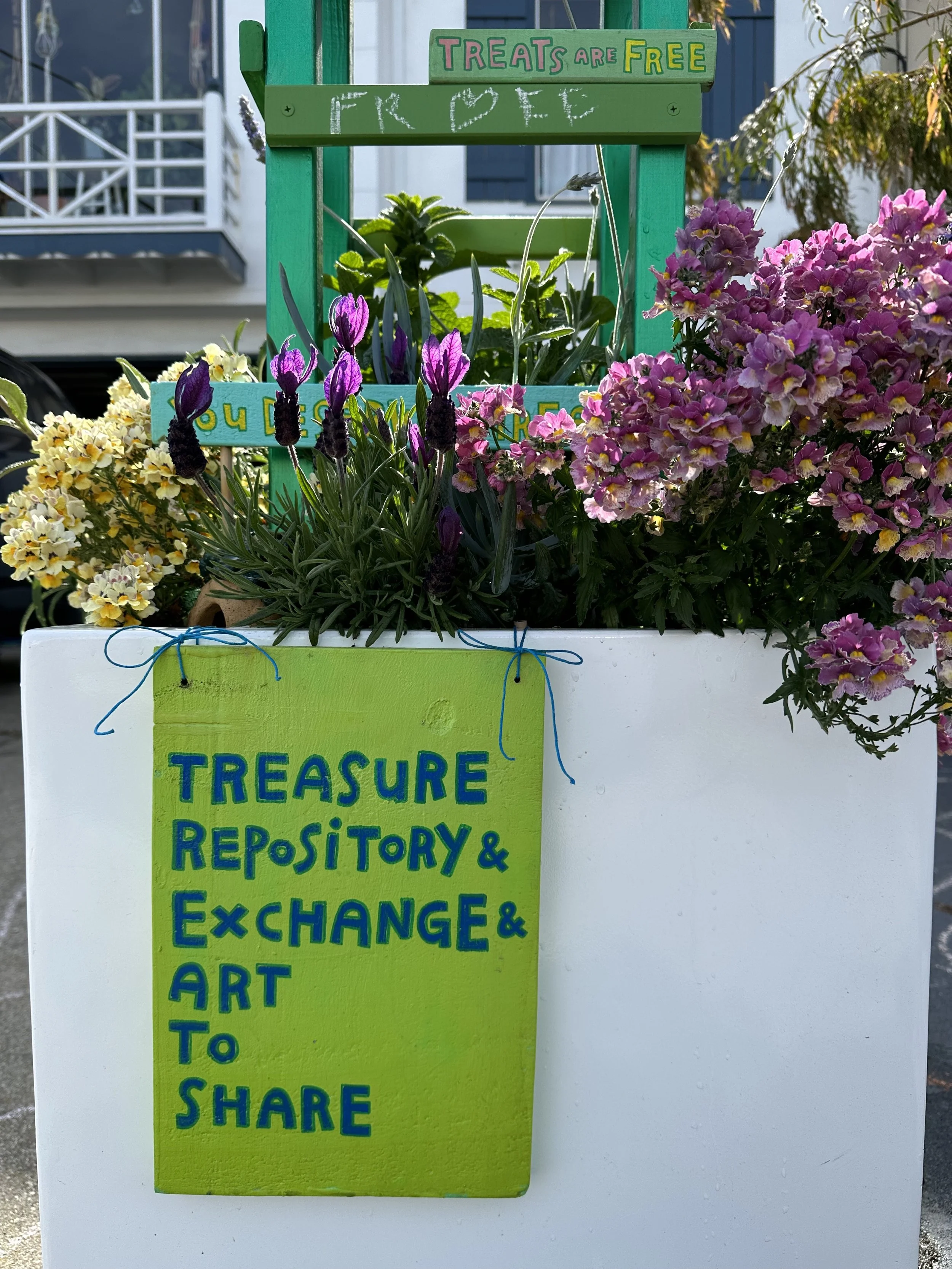 the sign was getting a bit hidden in the wilds of mint and lavender, i think this spot actually suits it better