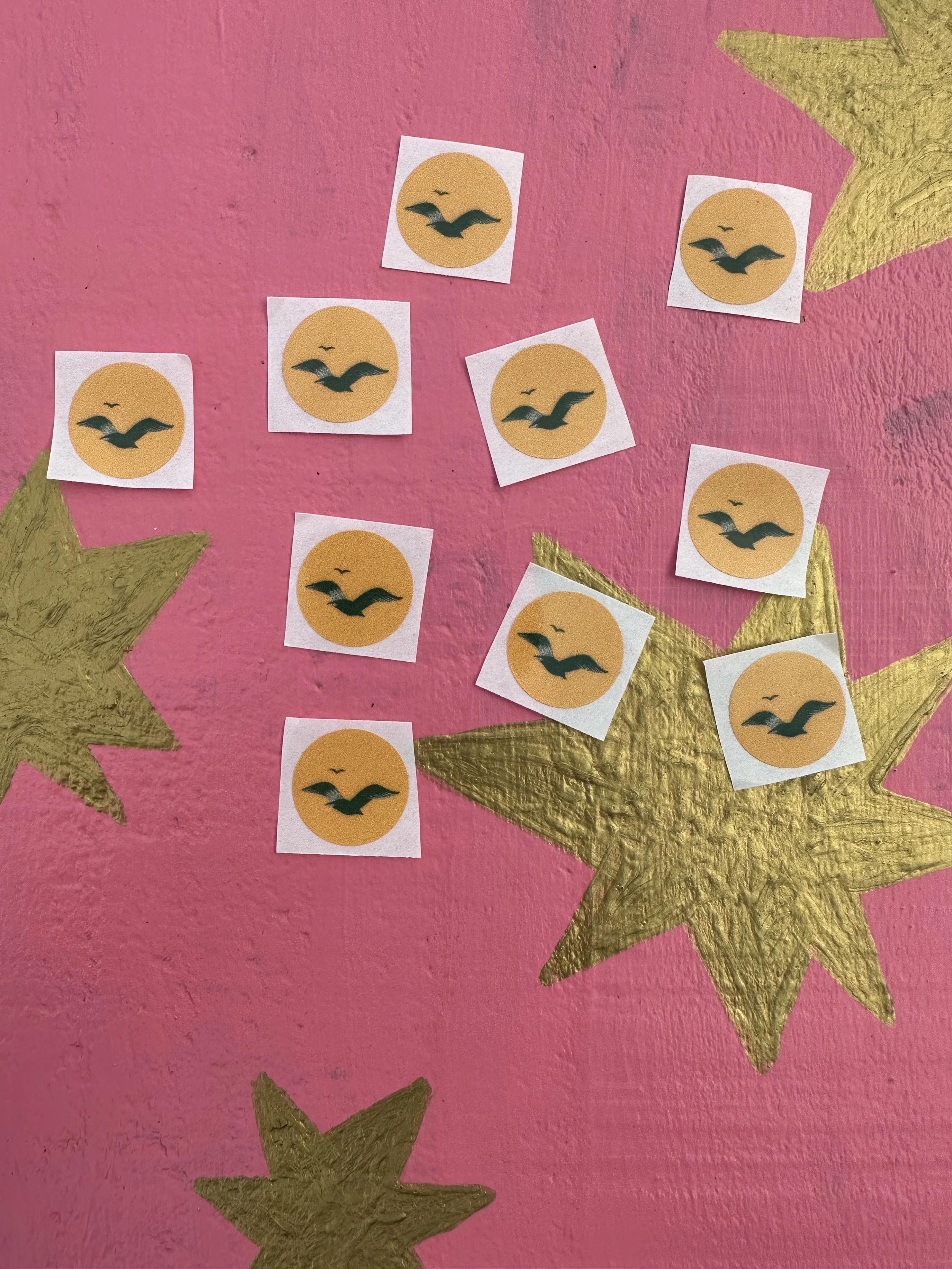 a flock of seagulls from a friendly treatster!