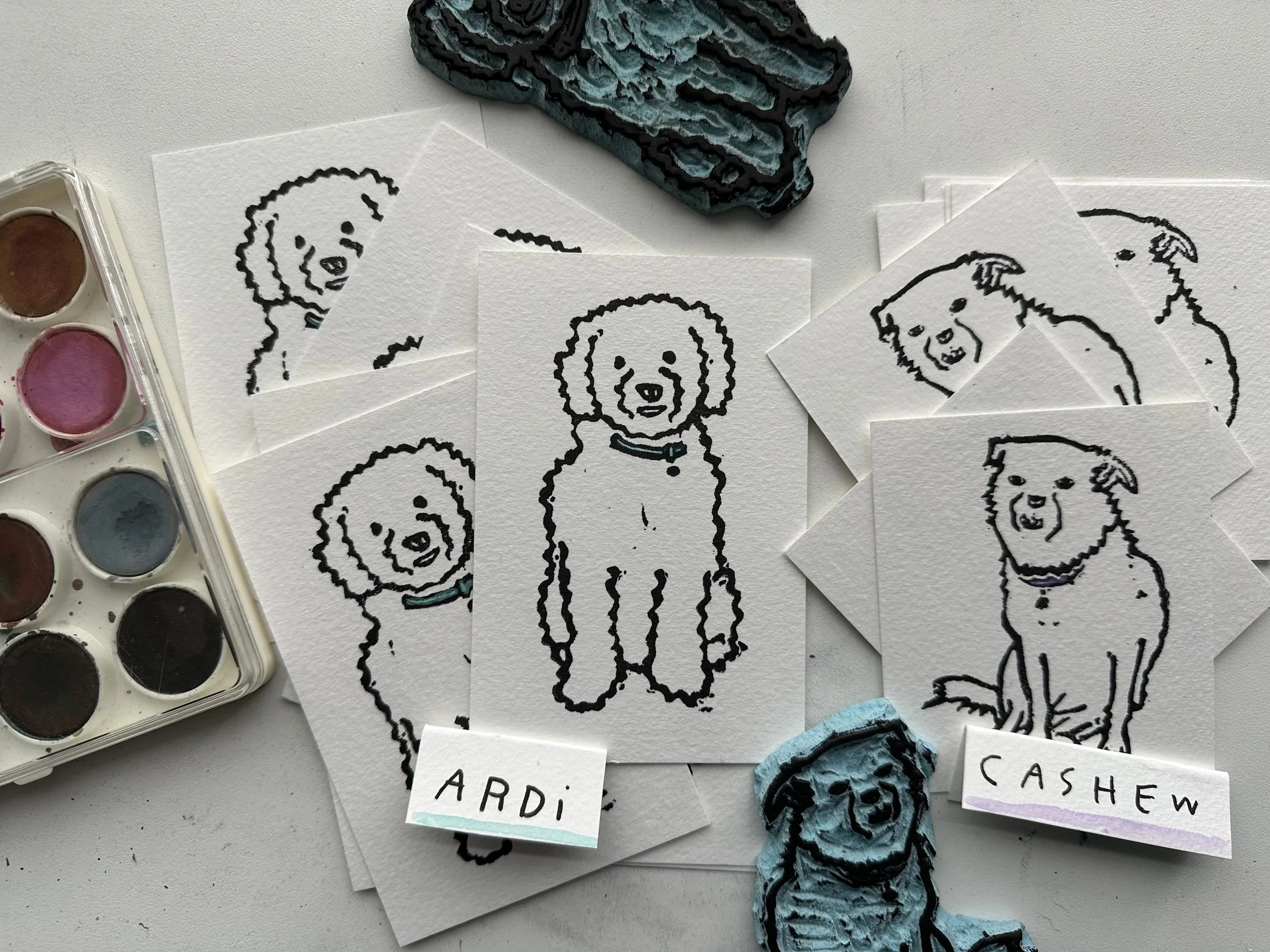 introducing cashew and ardi to the neighborhood