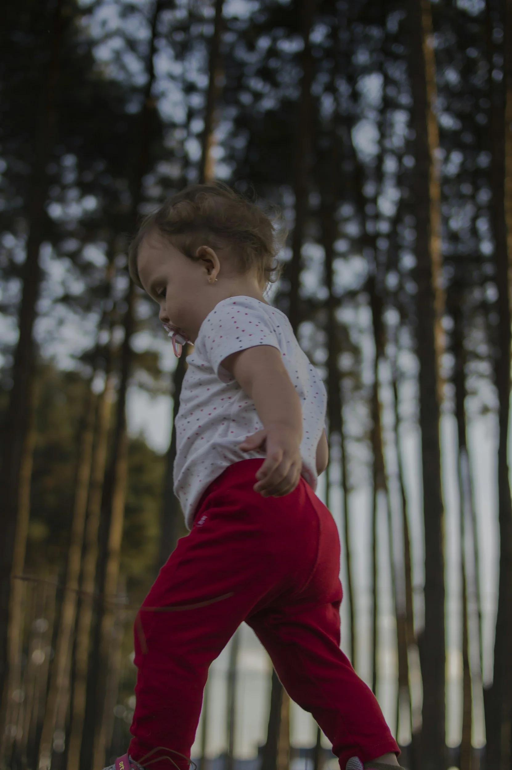 Little Explorers & Sunshine Seekers