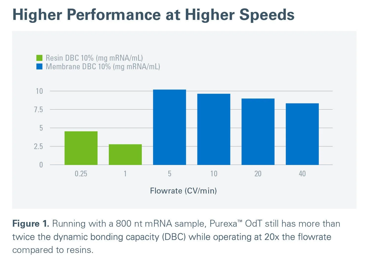 ラザピナ ODT リーフレット