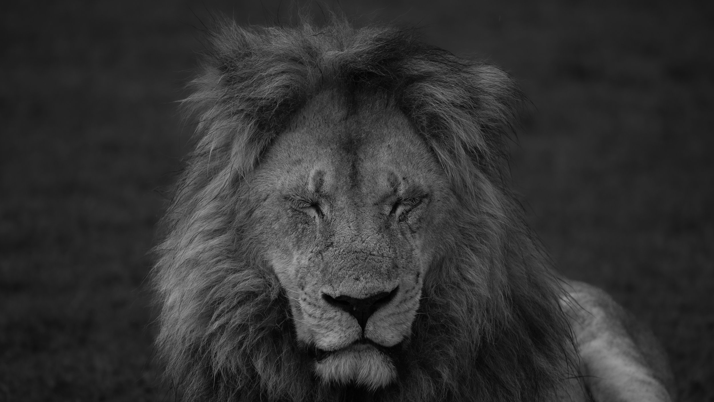 Aslan