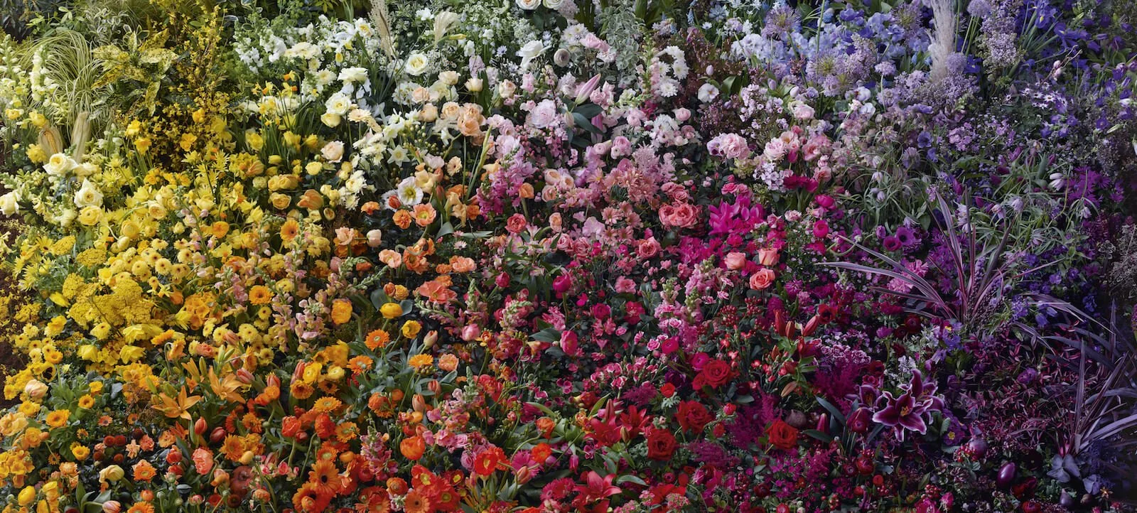 Floral Styling & Set Design London Still Life Flowers