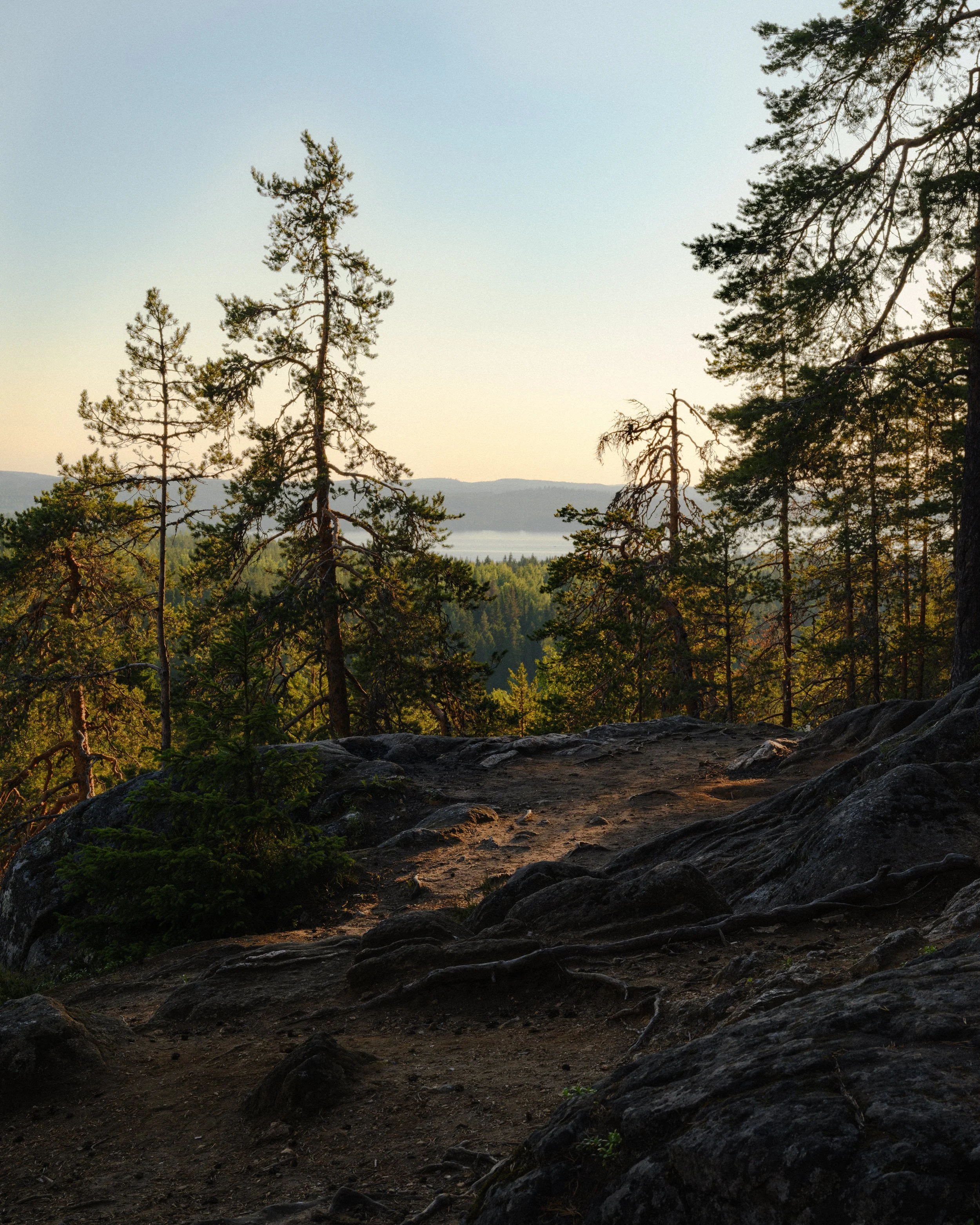 Kuopio-2.jpg