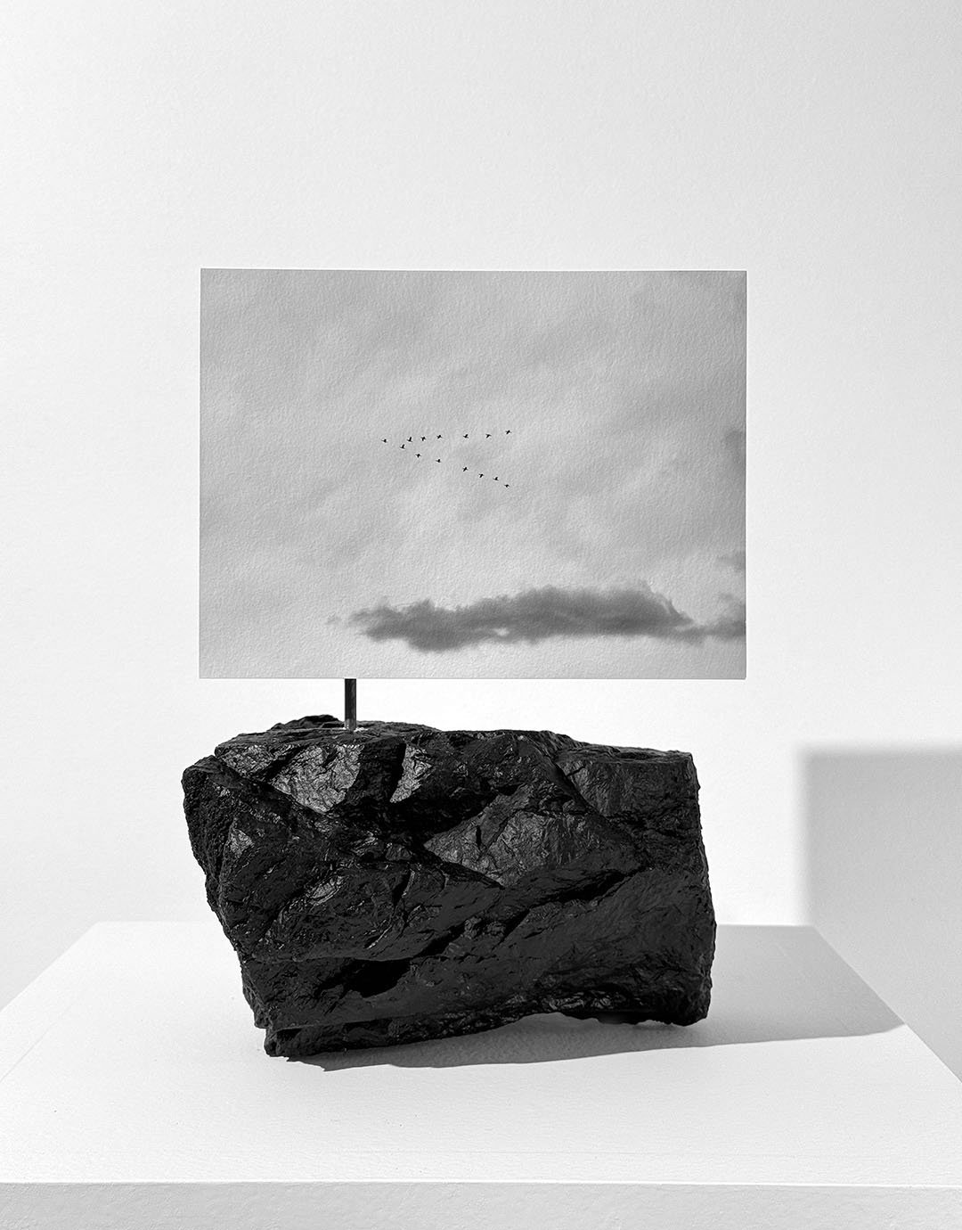 Audubon II Still Life.jpg