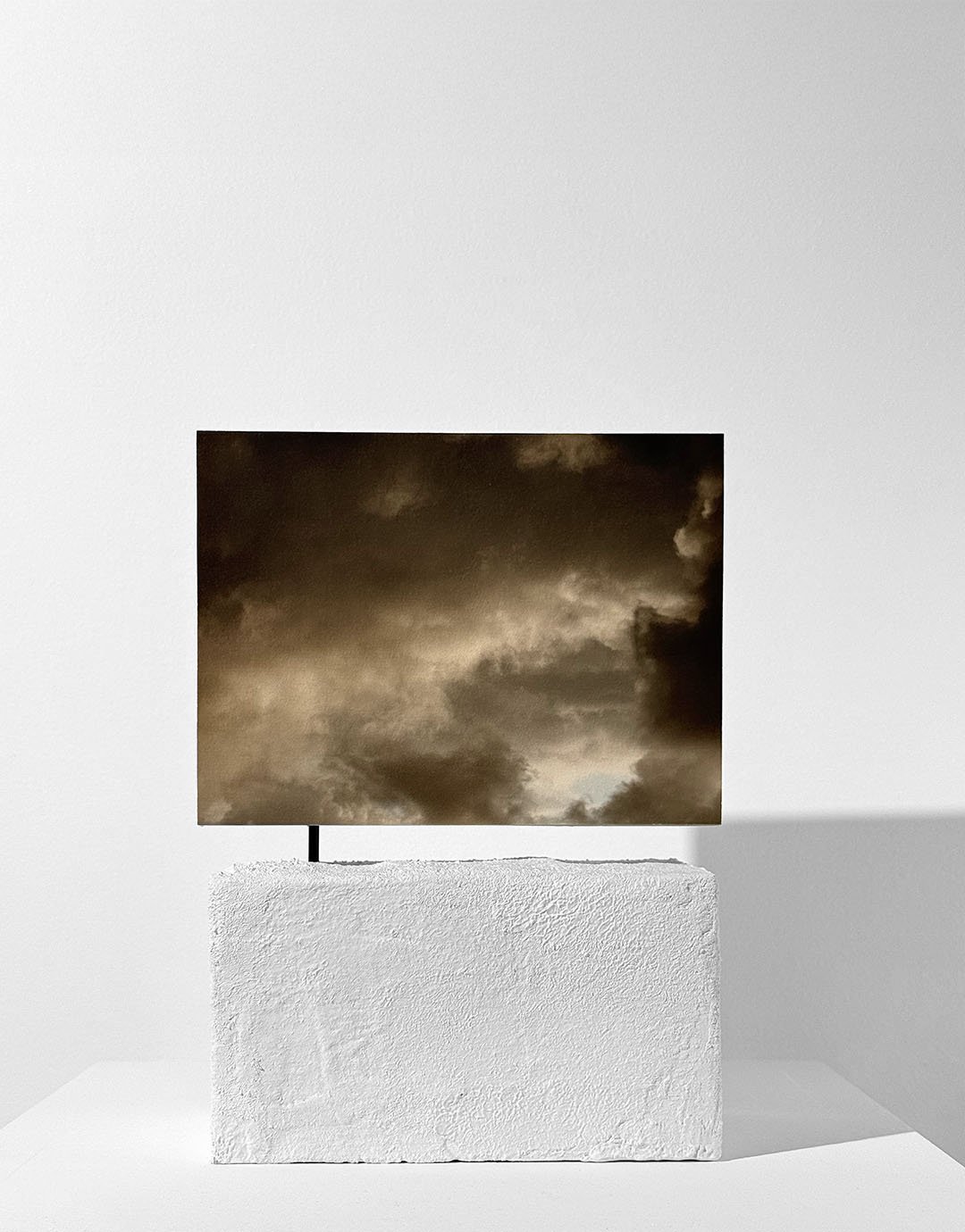 Renaissance I Still Life.jpg
