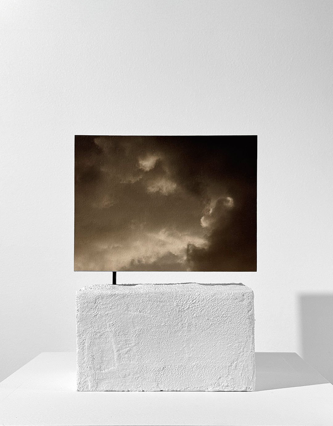 Renaissance II Still Life.jpg