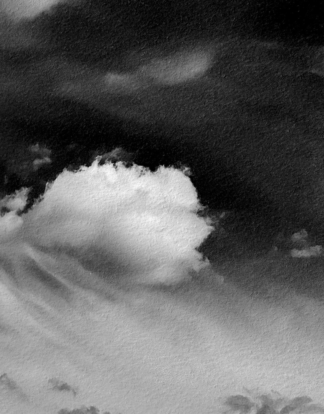 Fading Close up.jpg
