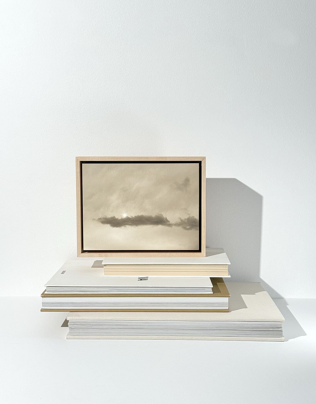 Float II Still Life3.jpg