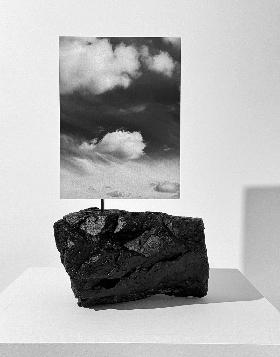 Fading Still Life.jpg