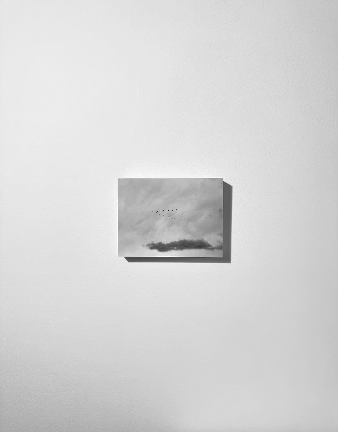 Audubon II Wall.jpg