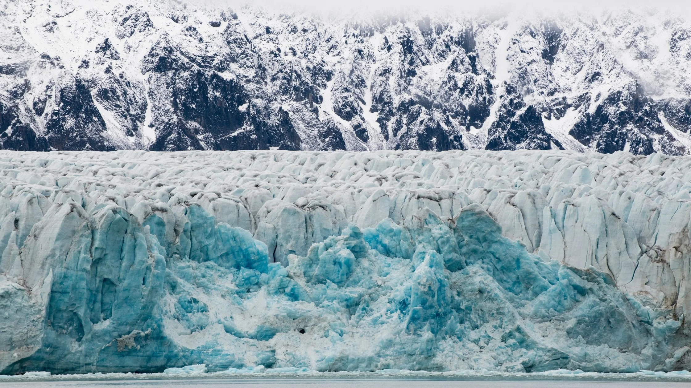 INTERACT at Arctic Science Summit Week 2026