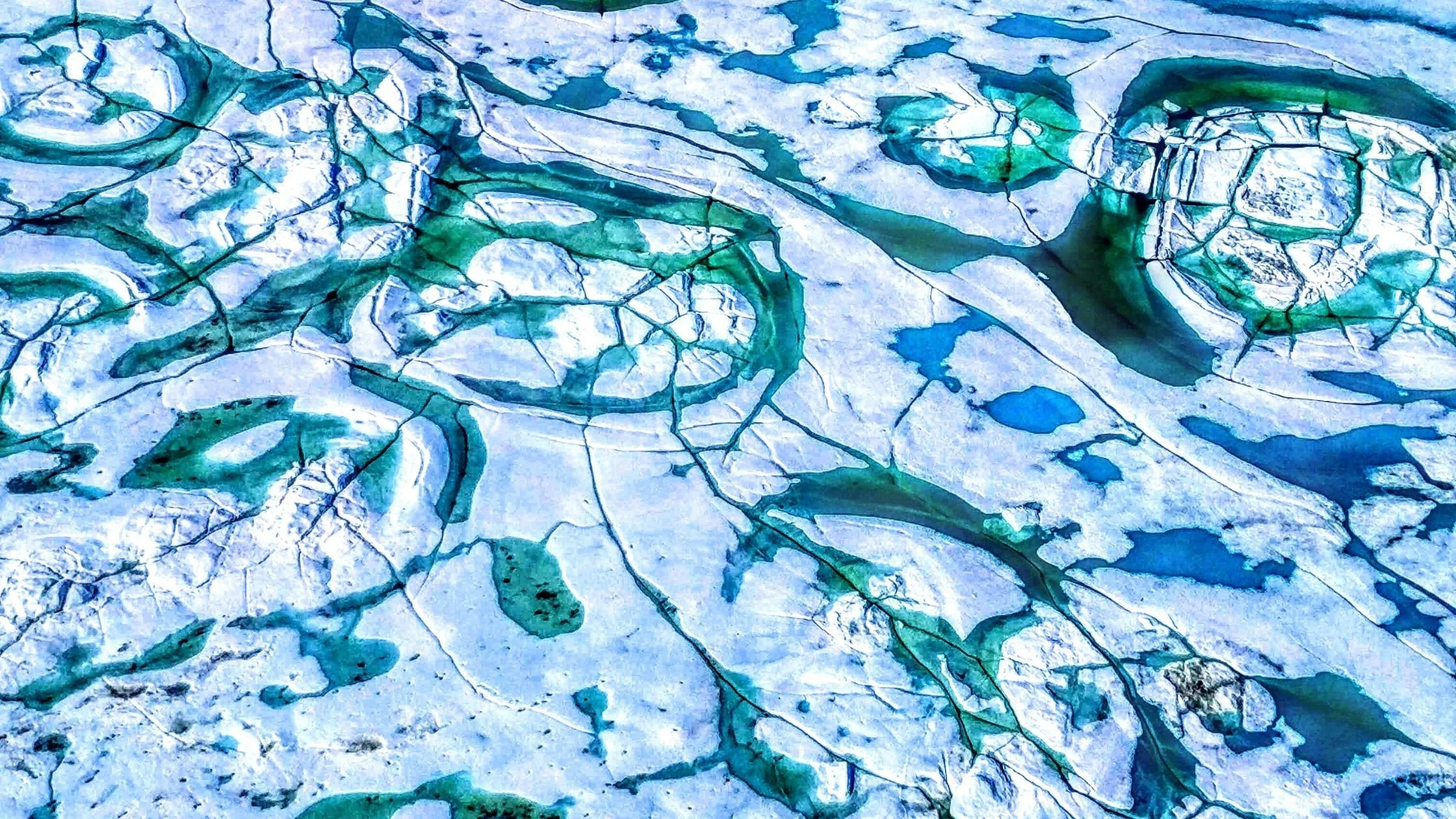 INTERACT joins UK and Nordic Leaders to discuss the future of Arctic research