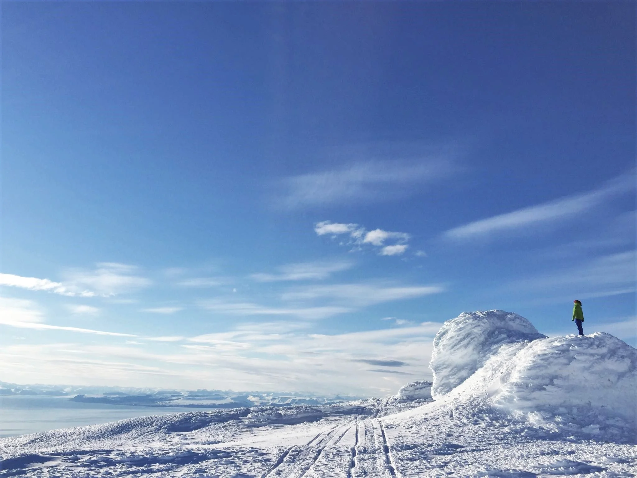 New Polar Observing Site Hub brings together information on more than 50,000 observing sites